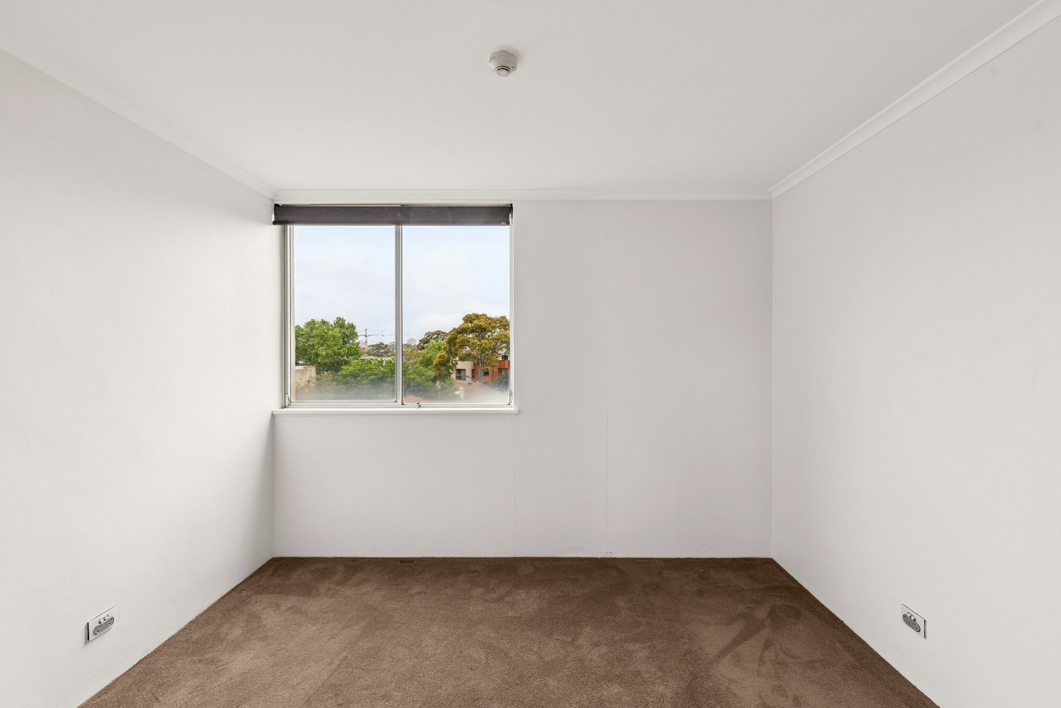 floor