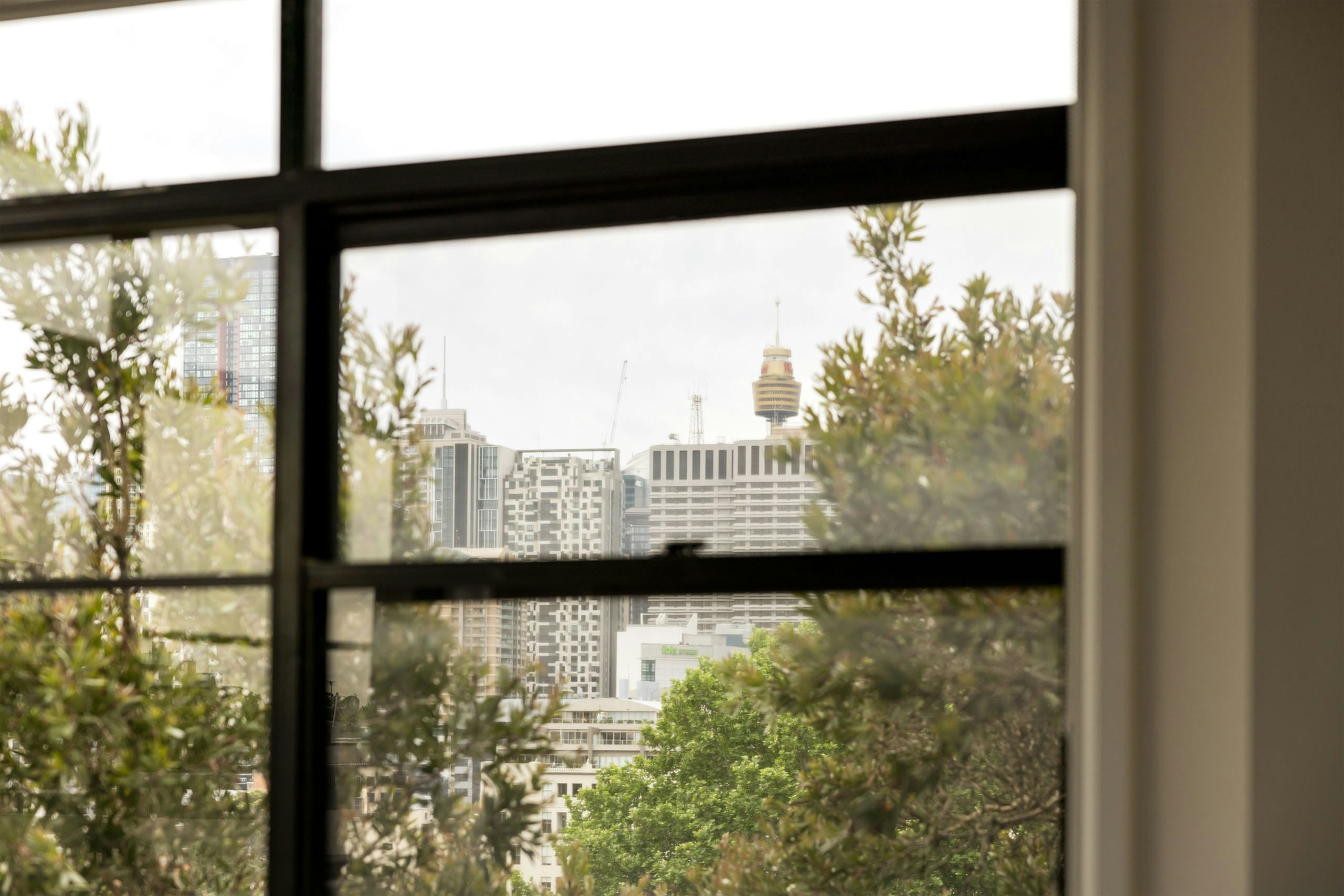 window