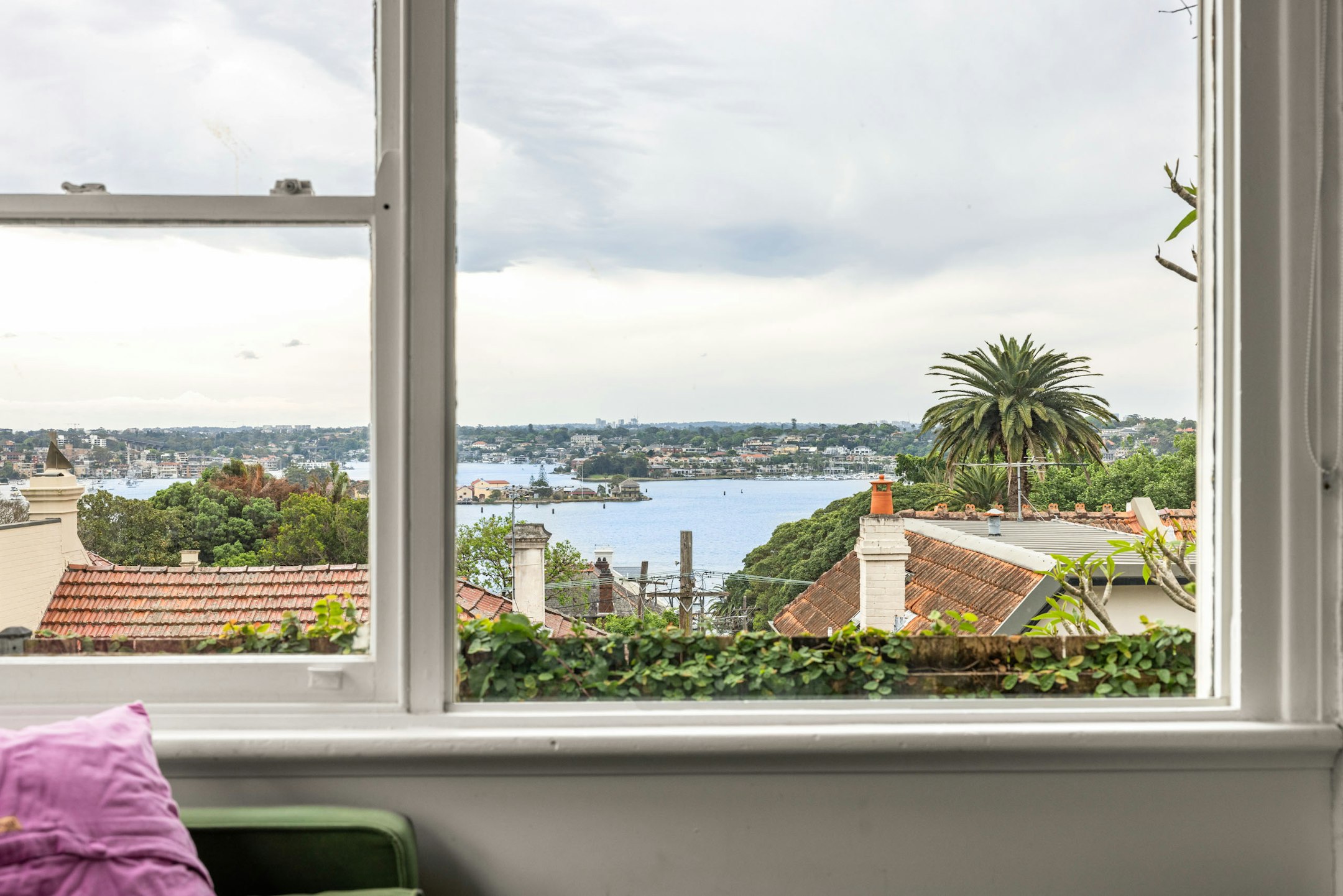 window