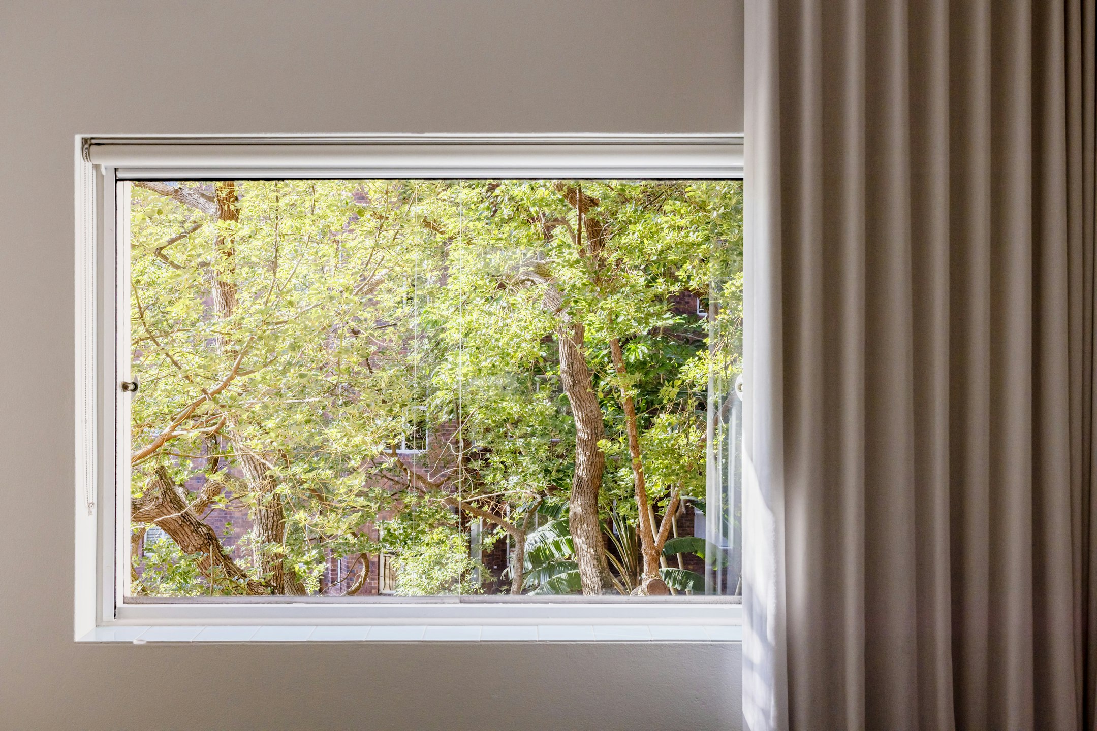 picture window