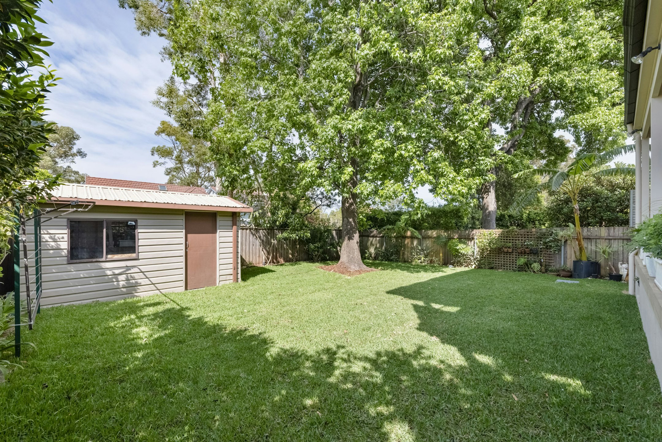 backyard