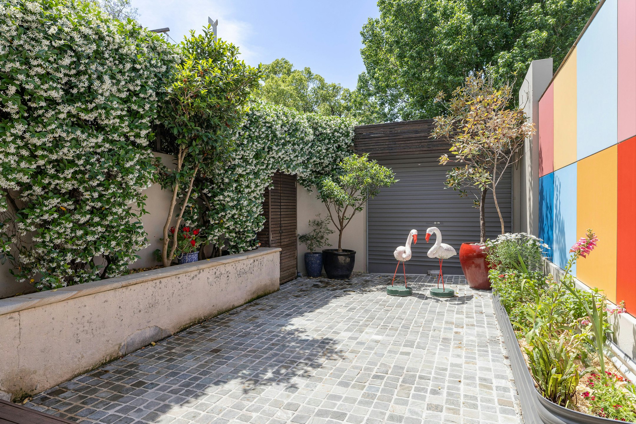 backyard