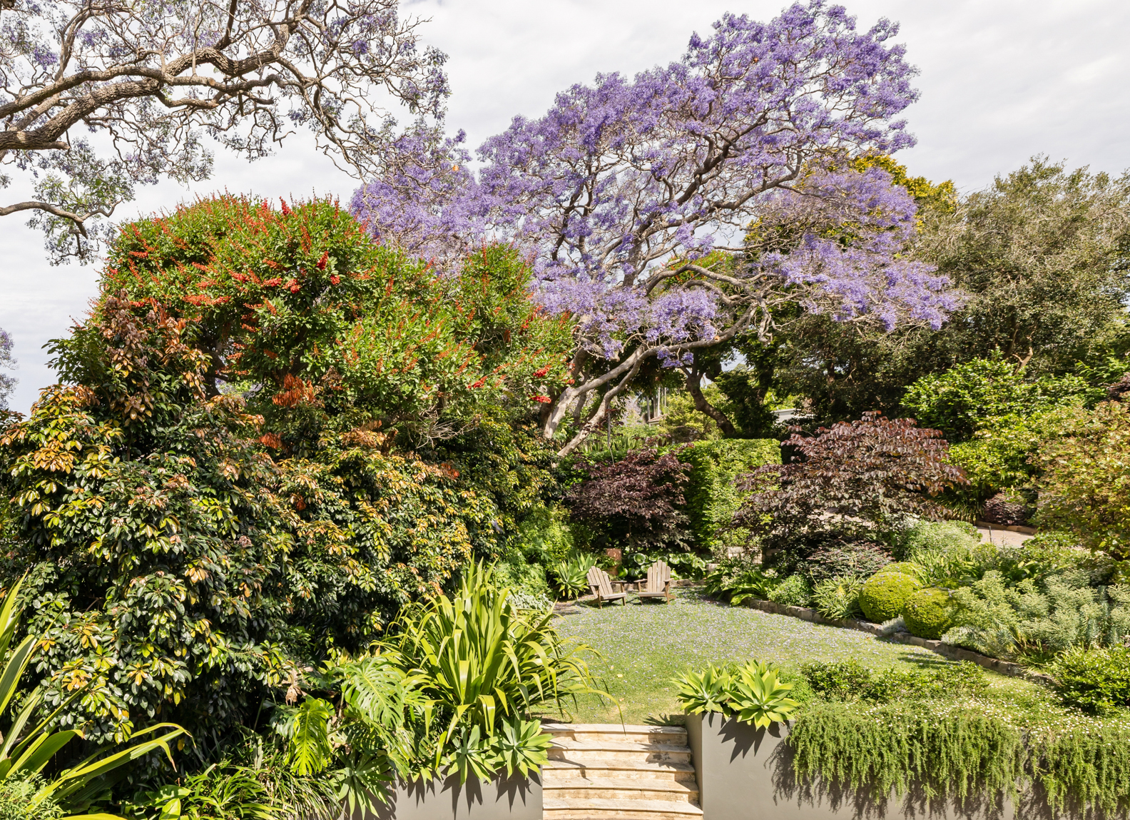 garden