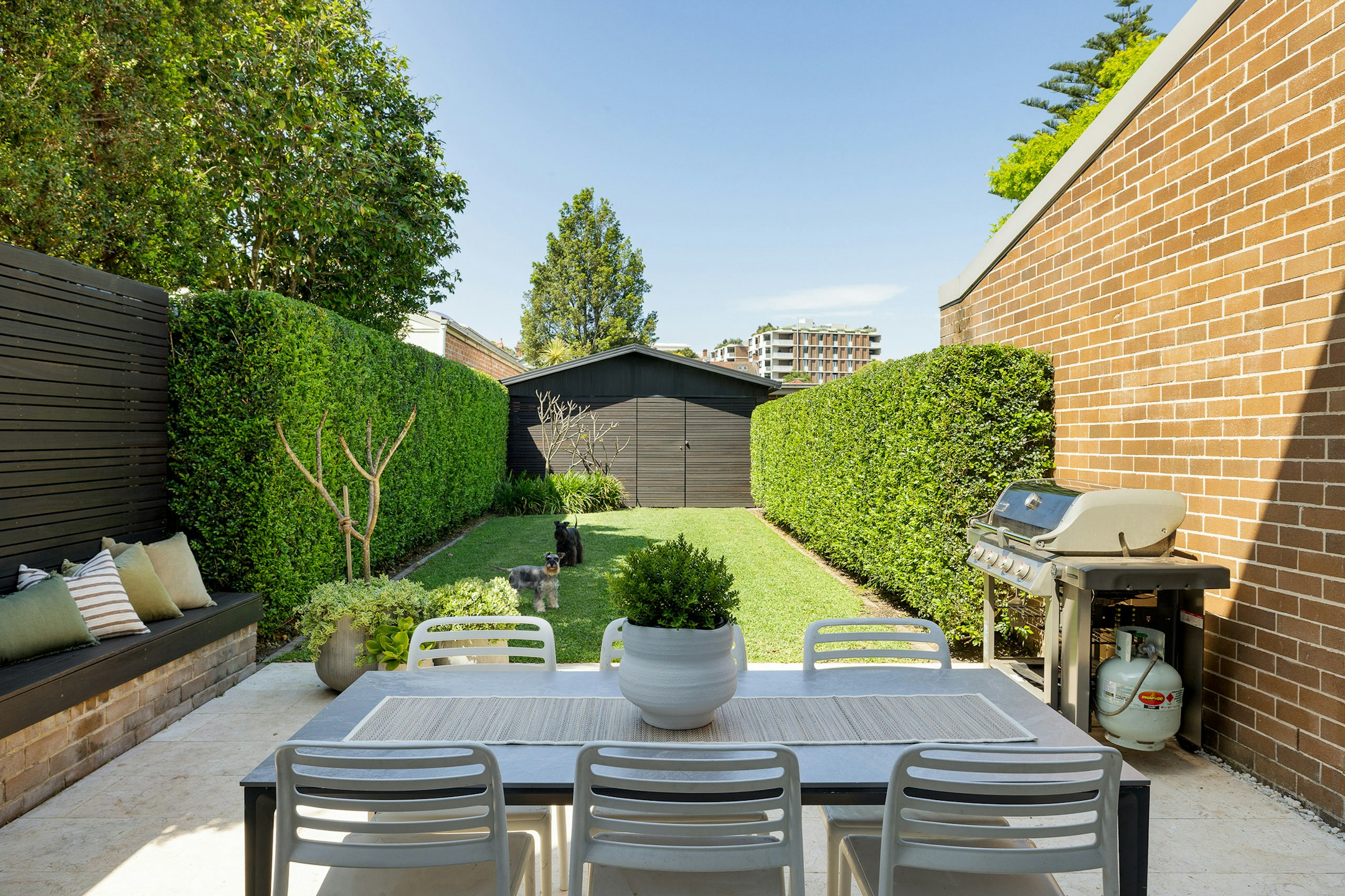 backyard