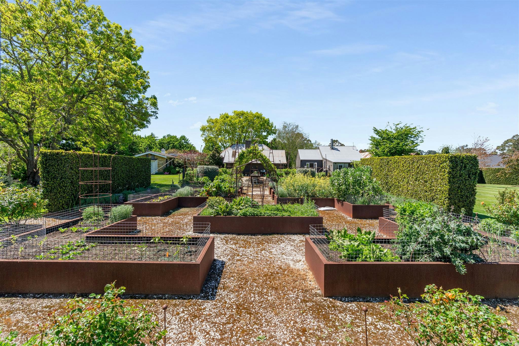 garden