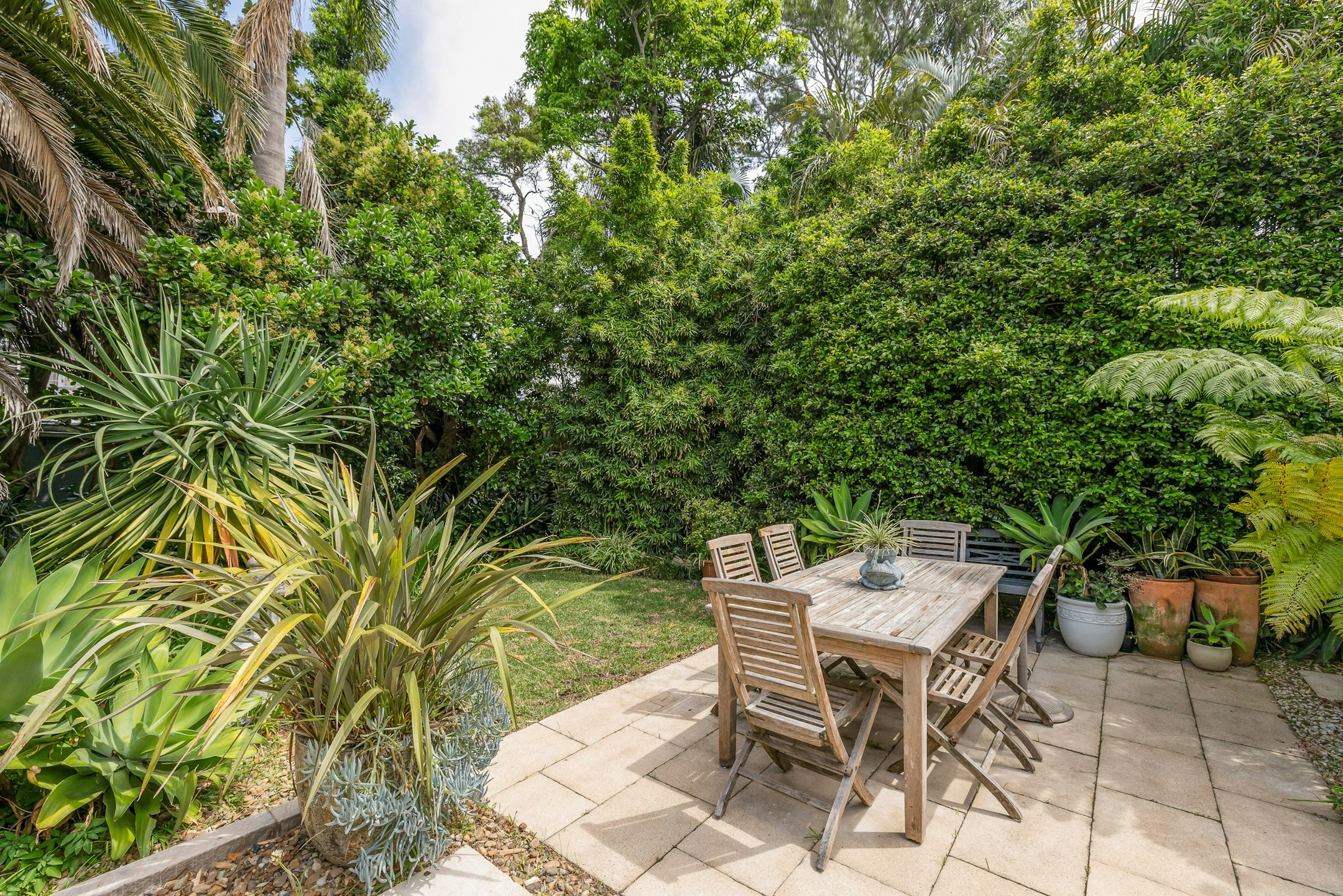 backyard