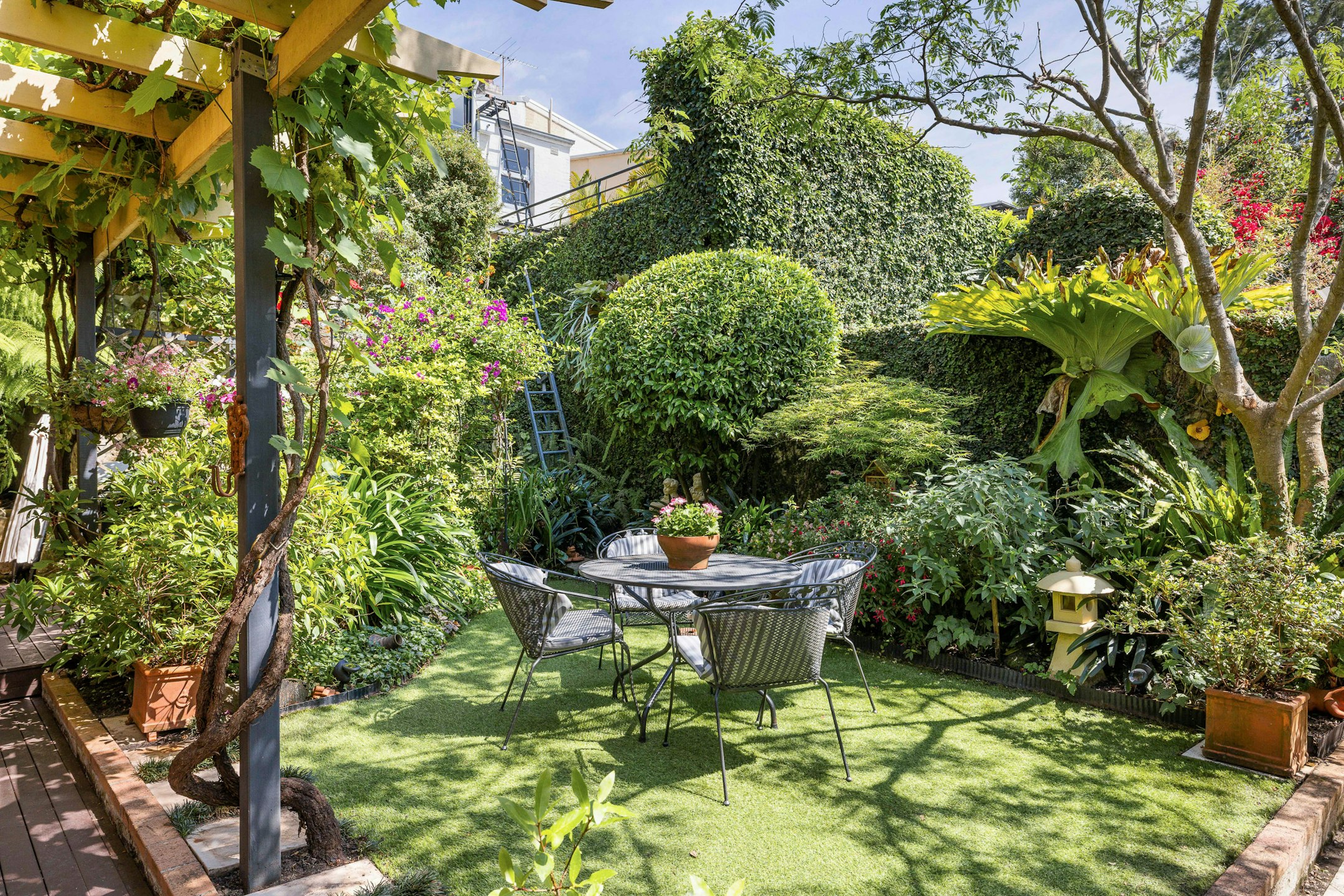 garden