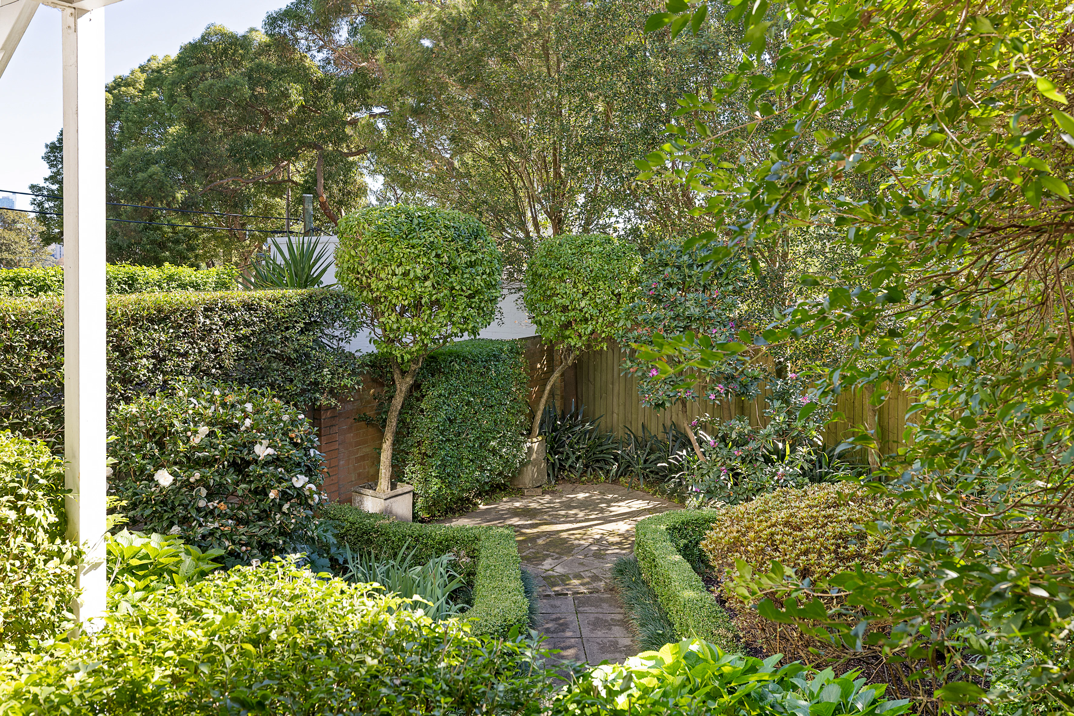 garden