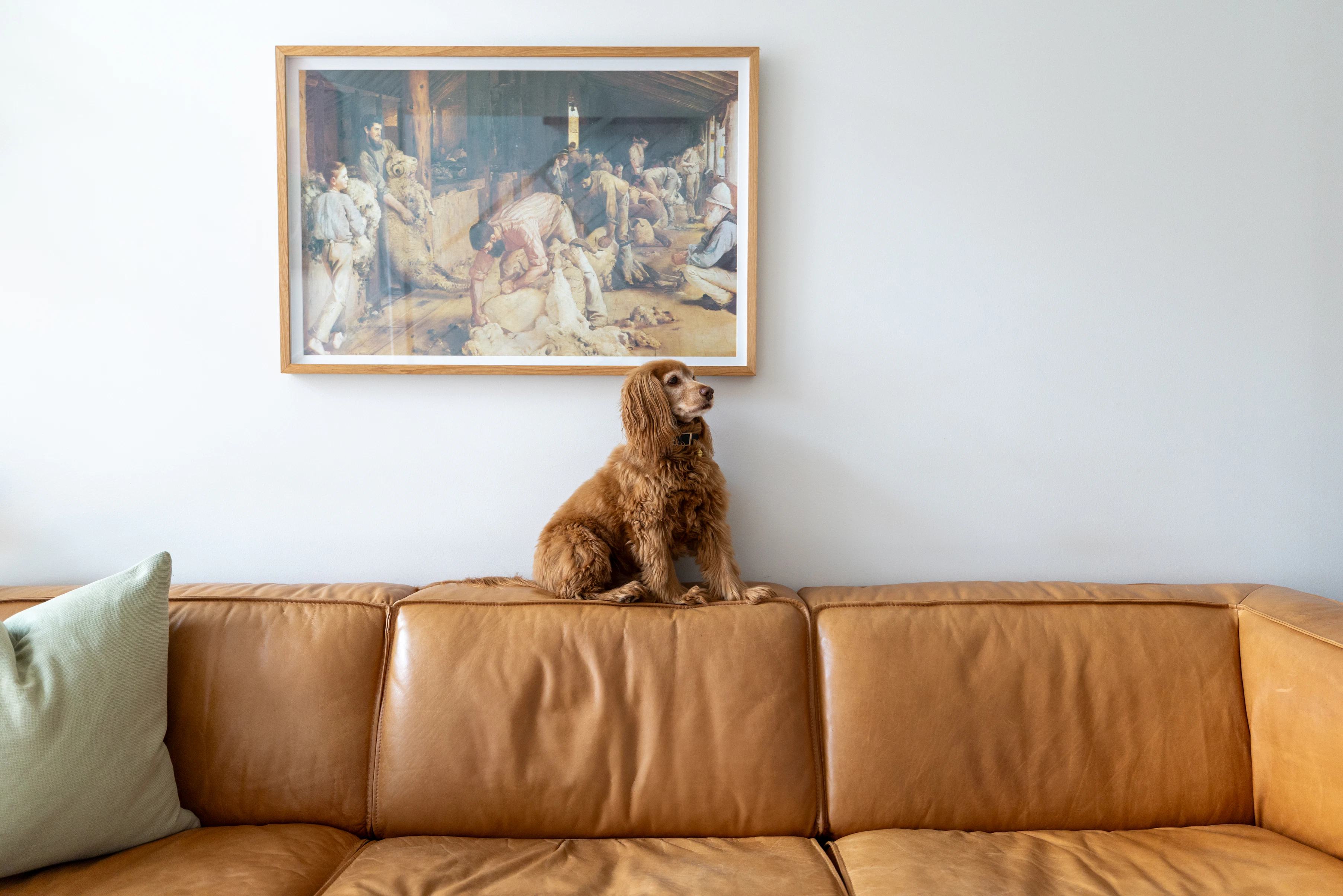 couch
