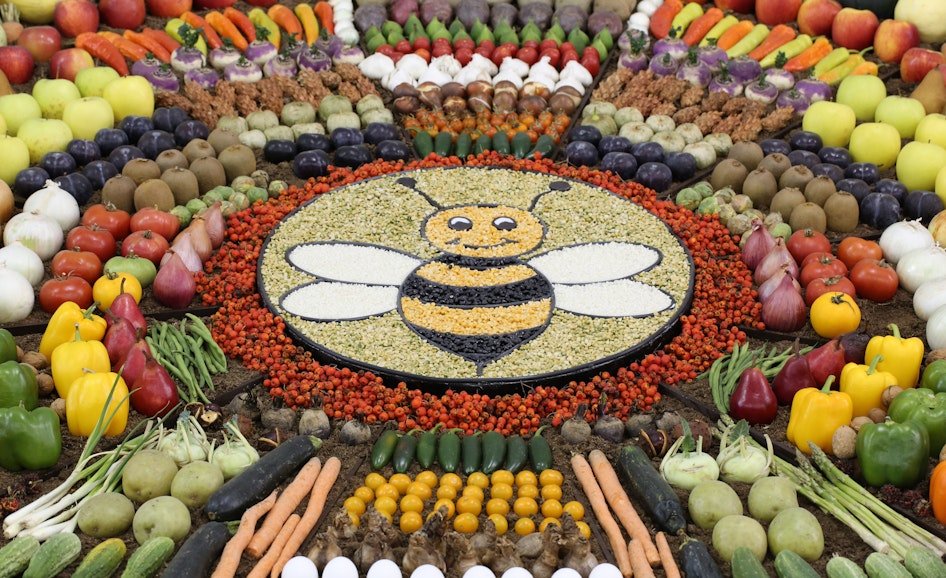 Agriculture & Horticulture Displays