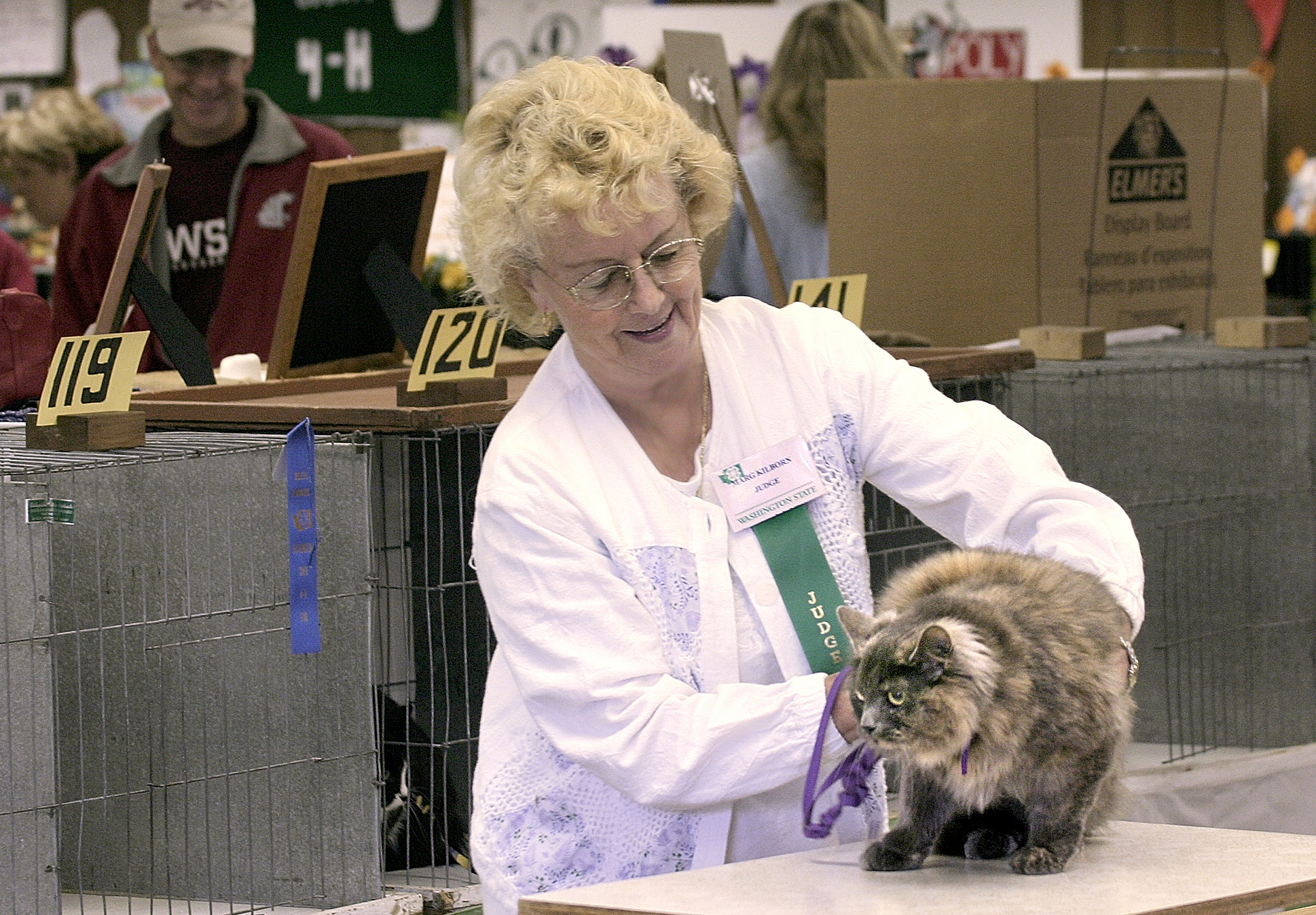 4-h-cats.jpg
