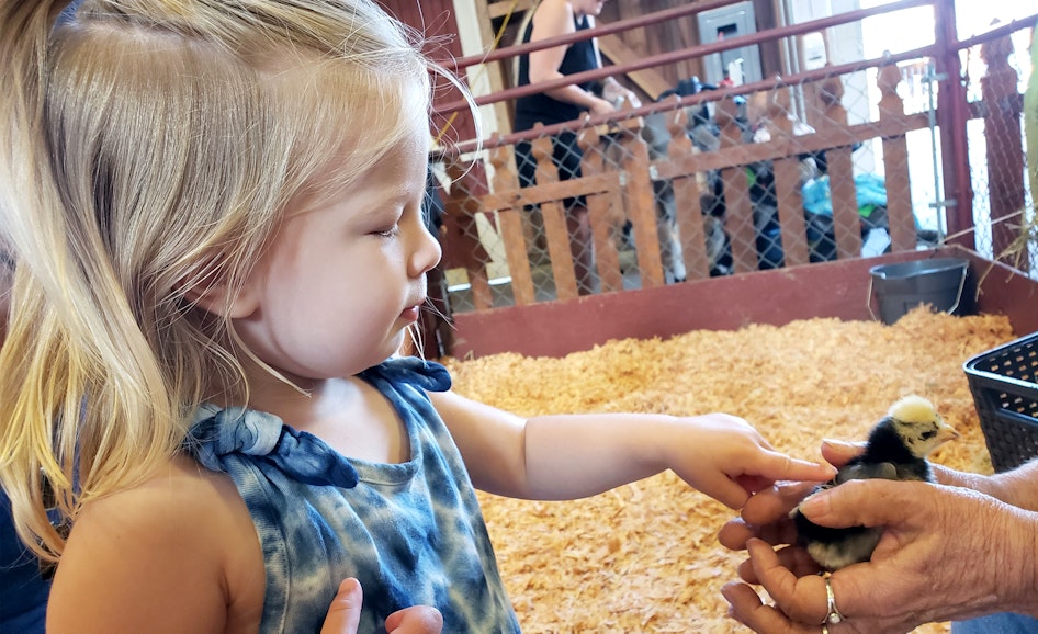 This is the alt text