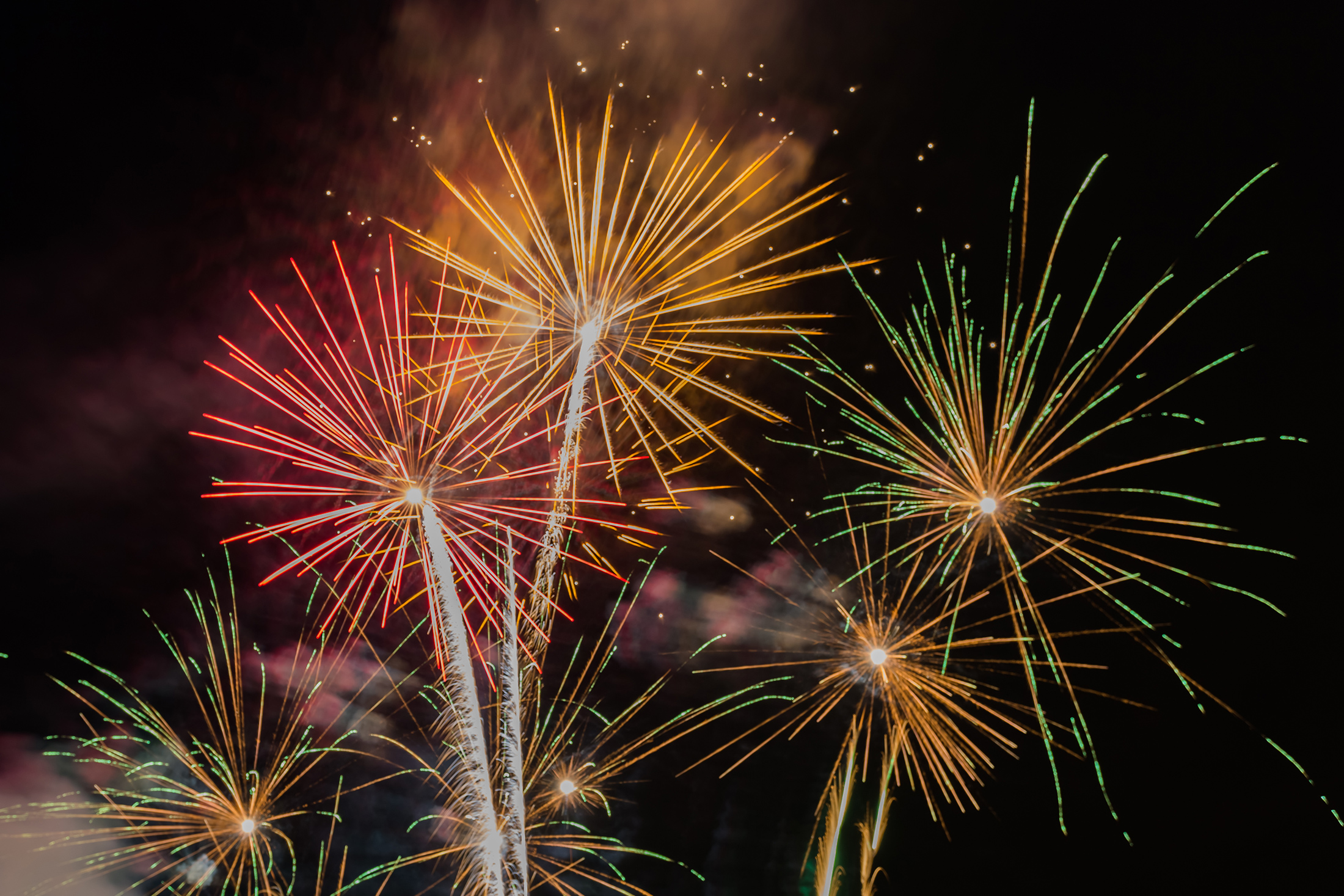 Fireworks in the night sky