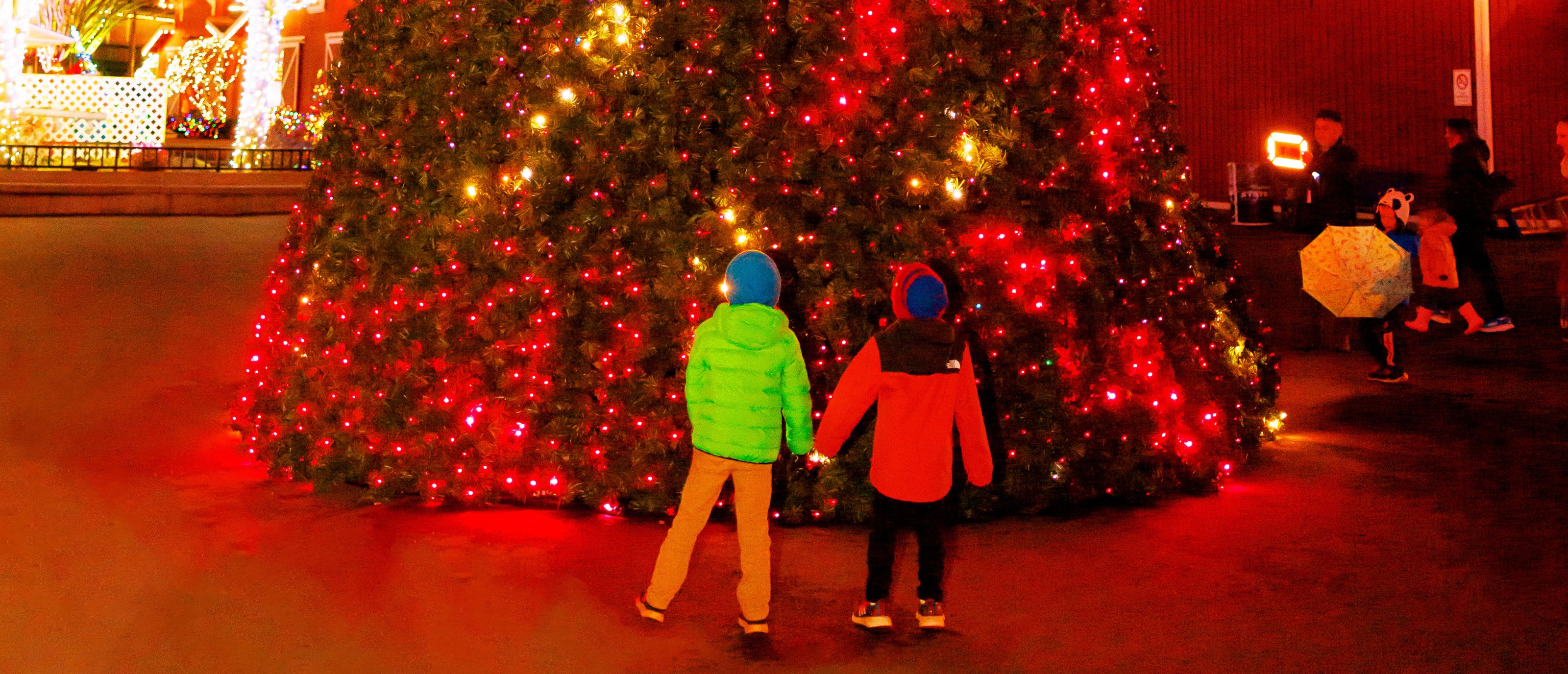 Sensory Inclusive - Holiday Magic