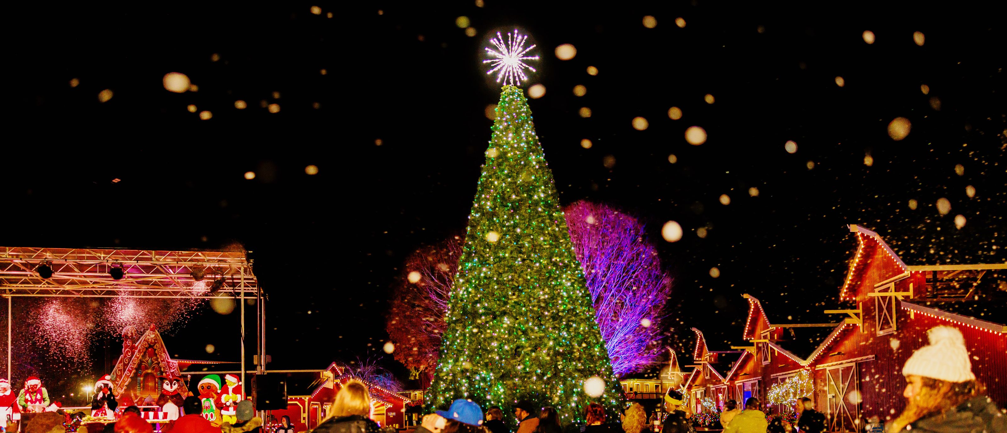 Singing Christmas Tree