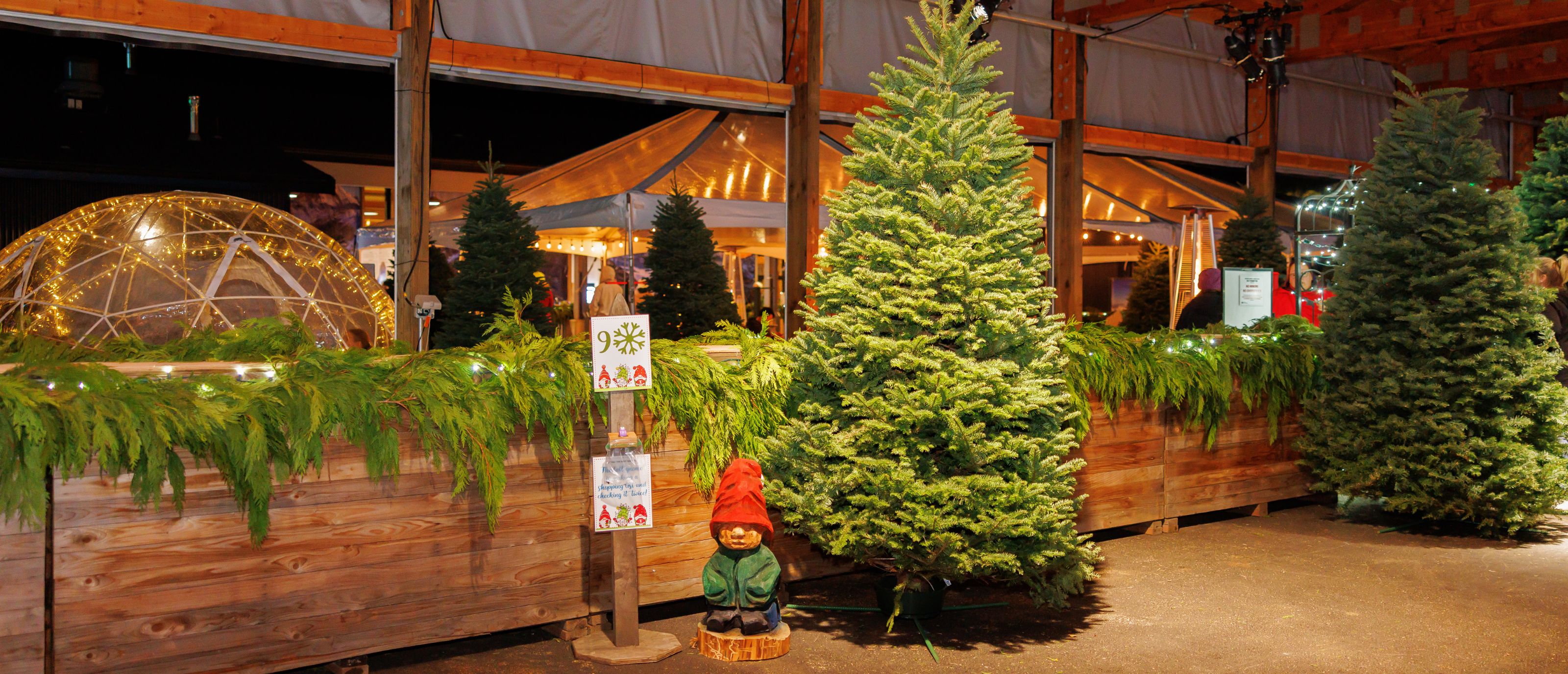 Gnome Scavenger Hunt