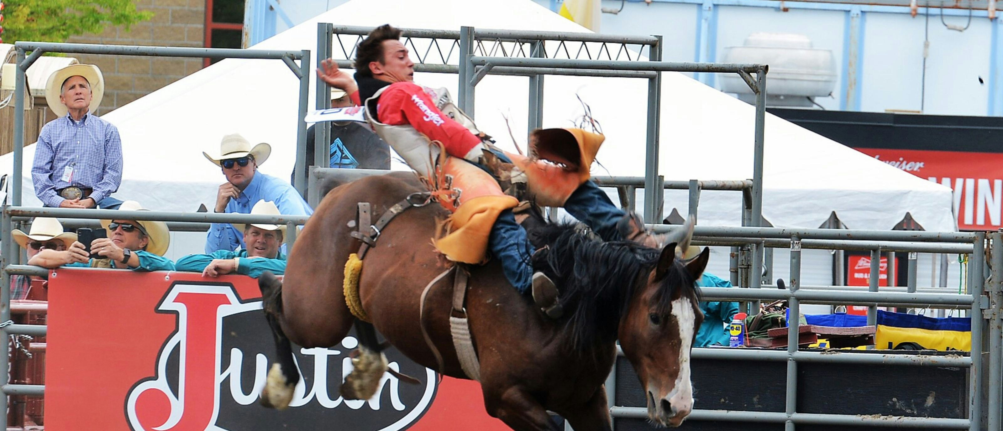 Saddle Bronc Riding