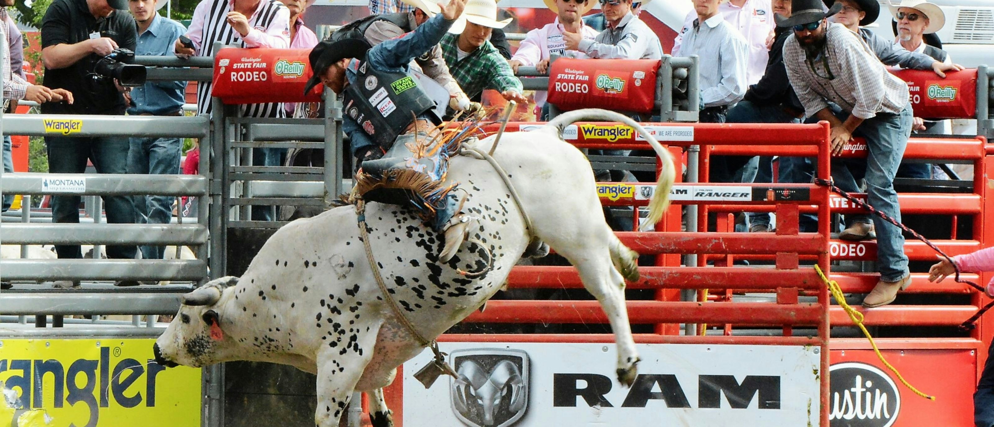 Bull Riding