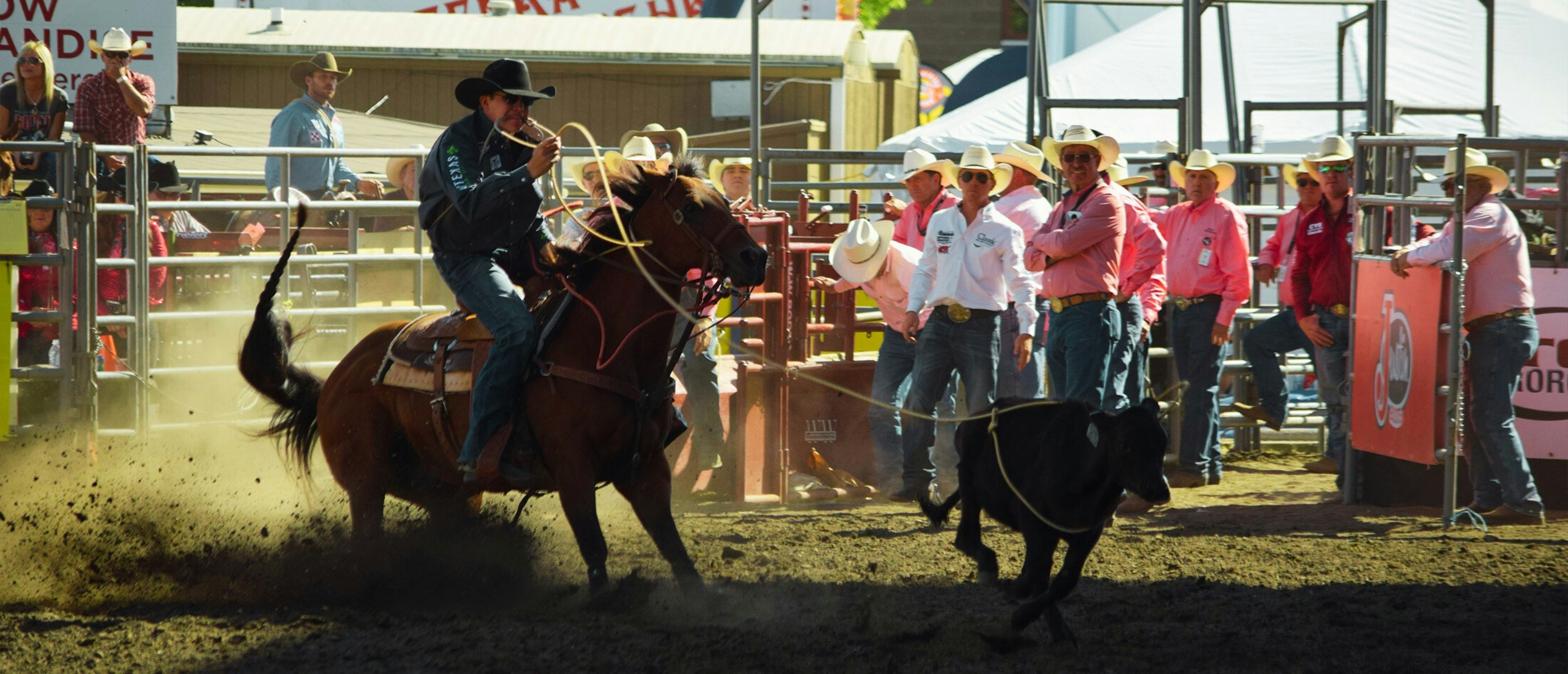 Tie Down Roping