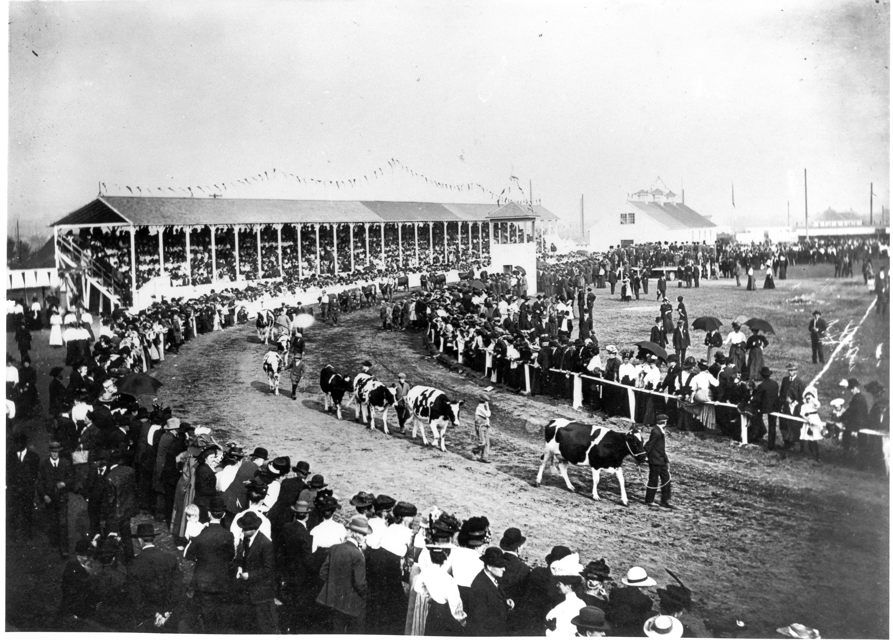 1910-1919