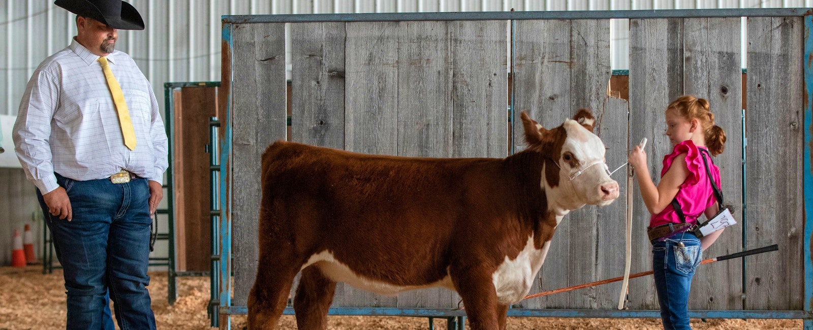 Girl with pet Cow at competition