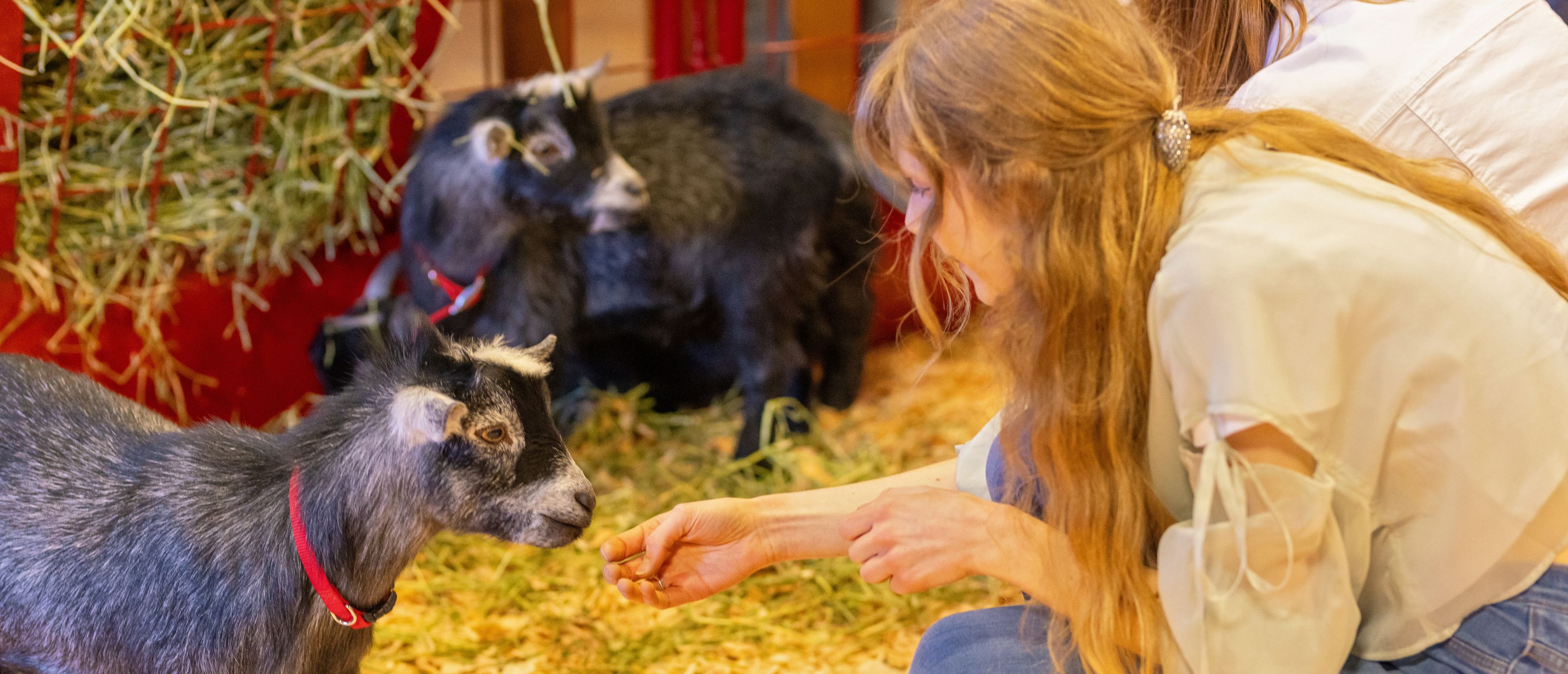 Fair Farm at Spring Fair Washington State Fair Events Center