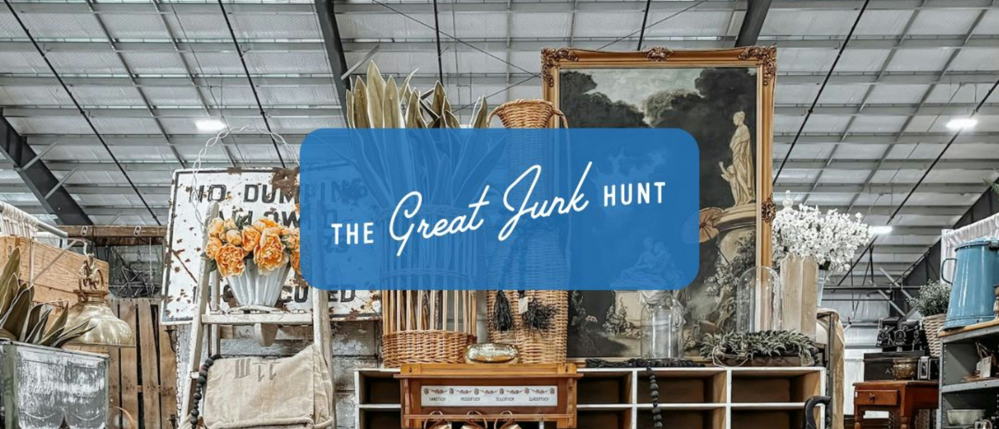 The Great Junk Hunt