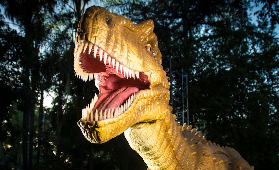 Close up of a raptor dinosaur model with its mouth open and sharp teeth on display