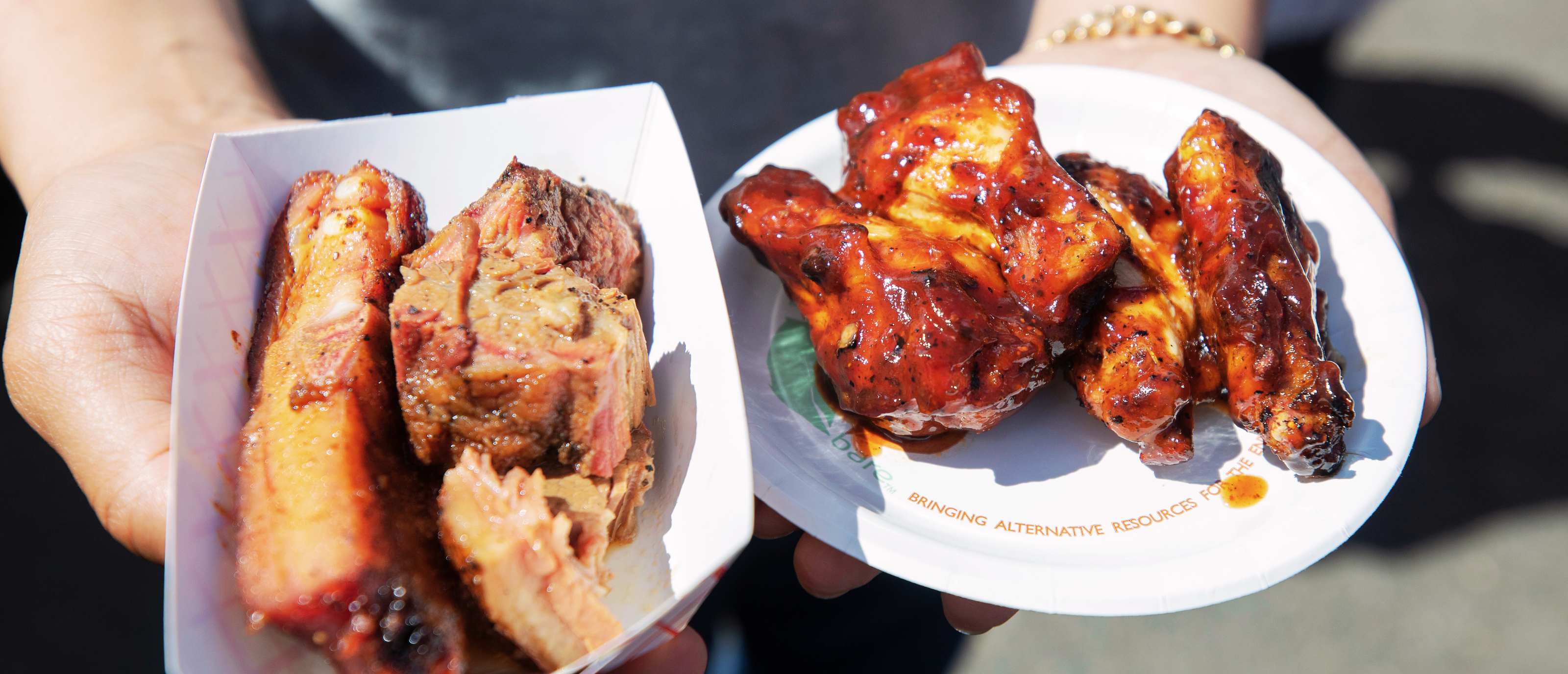 Rips & Chicken wings