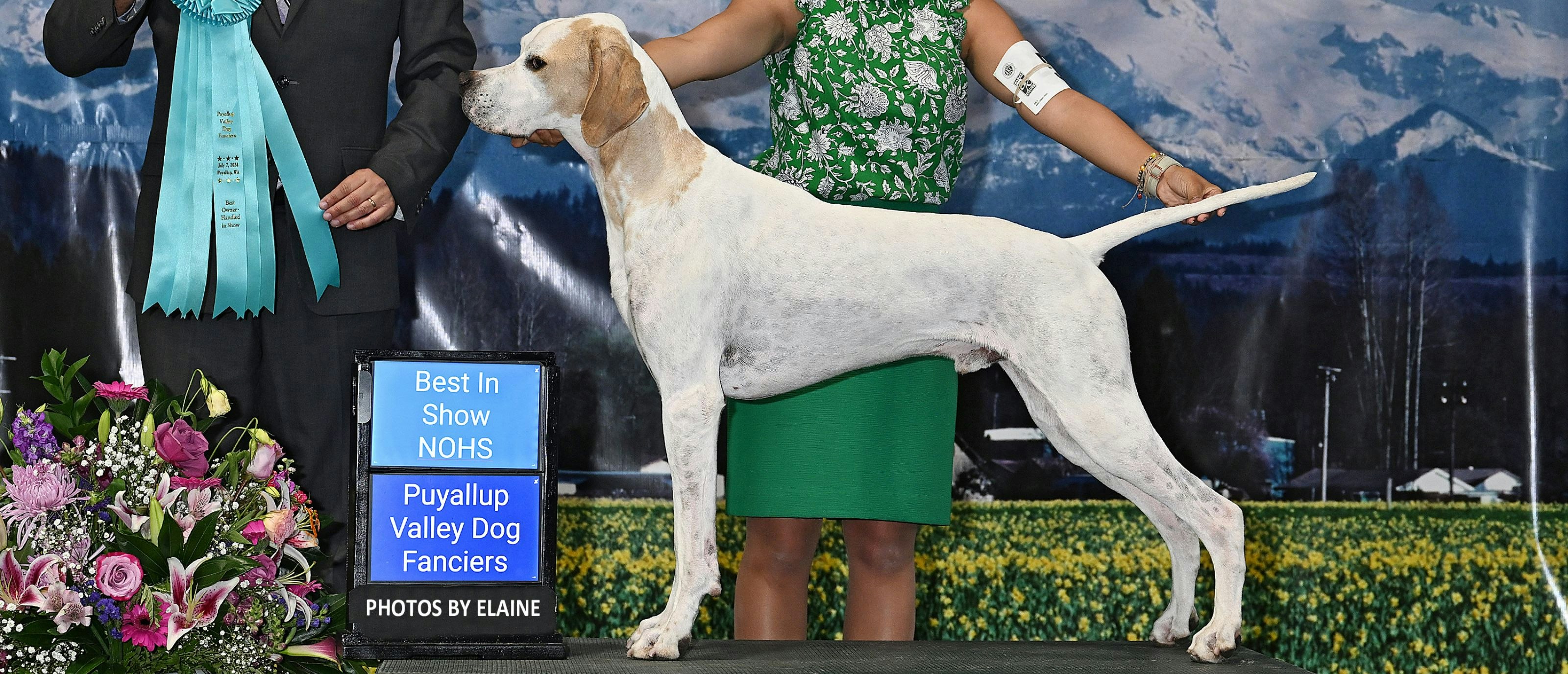 Western Washington Summer Dog Show Cluster