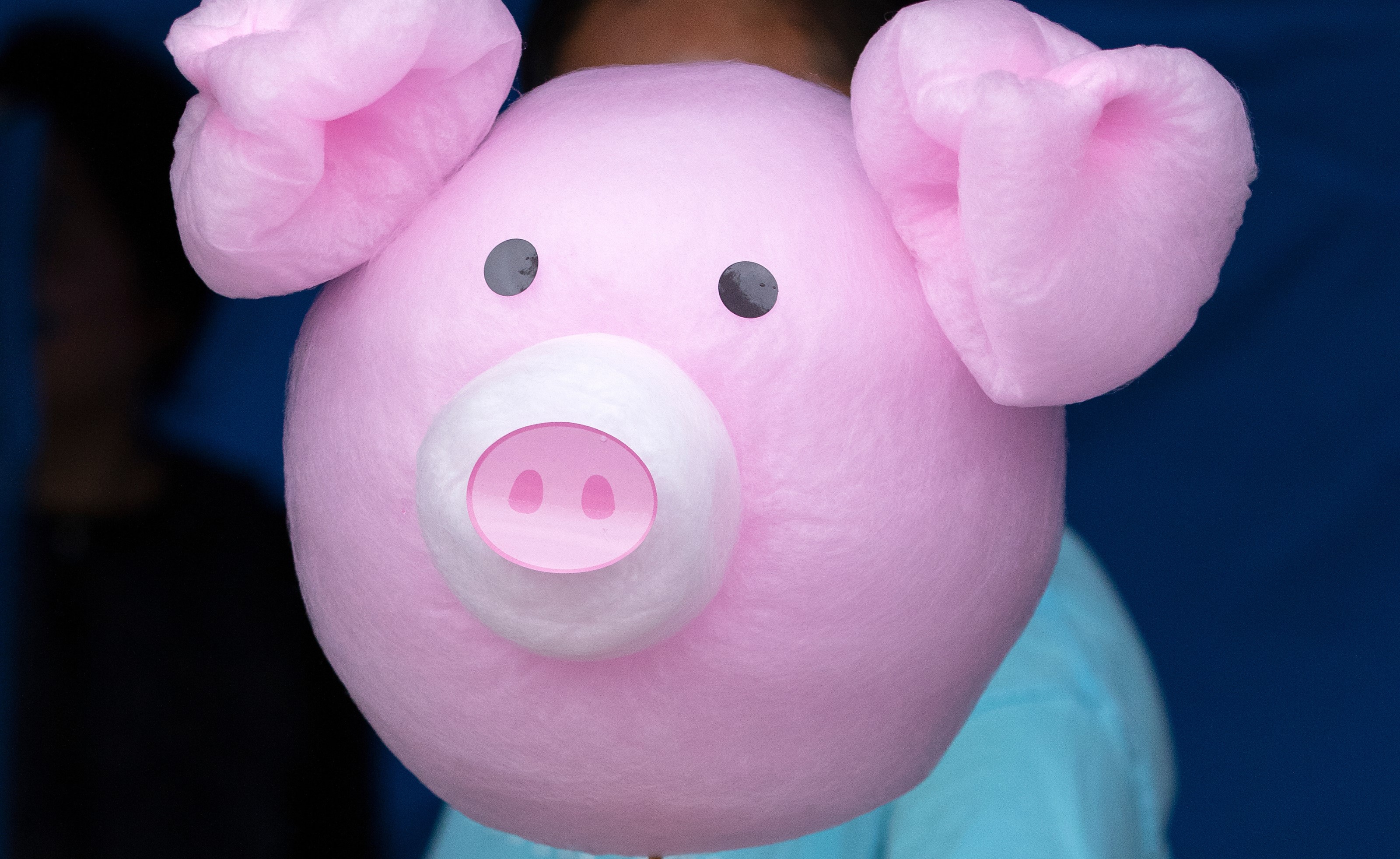 Character Cotton Candy