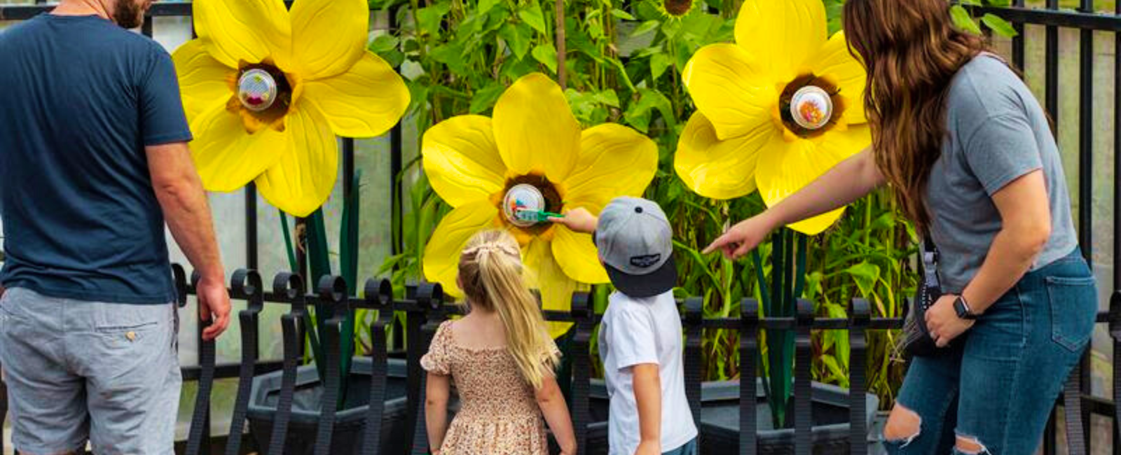 family at the backyard garden, pollinator flowers