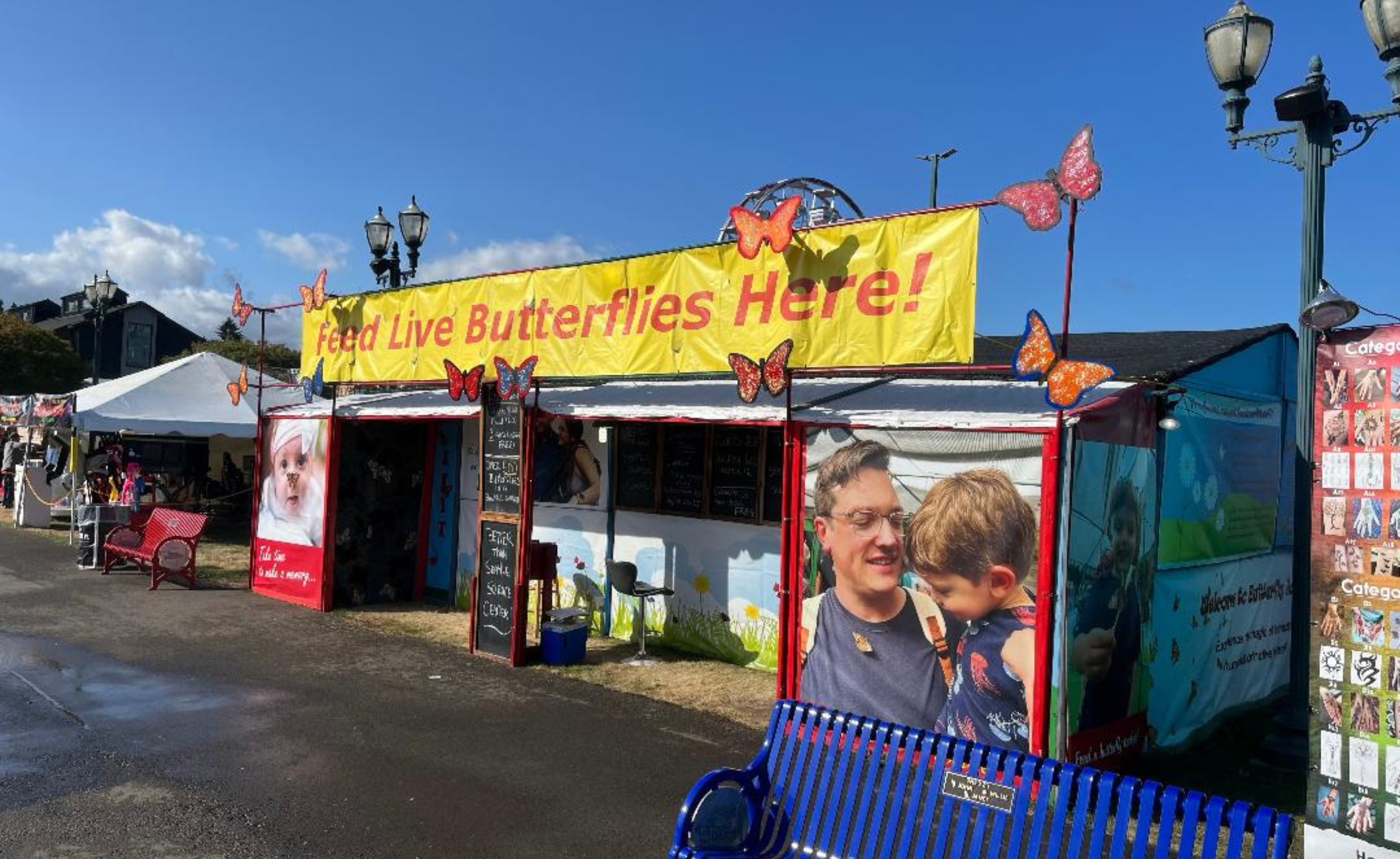 Butterfly Adventures