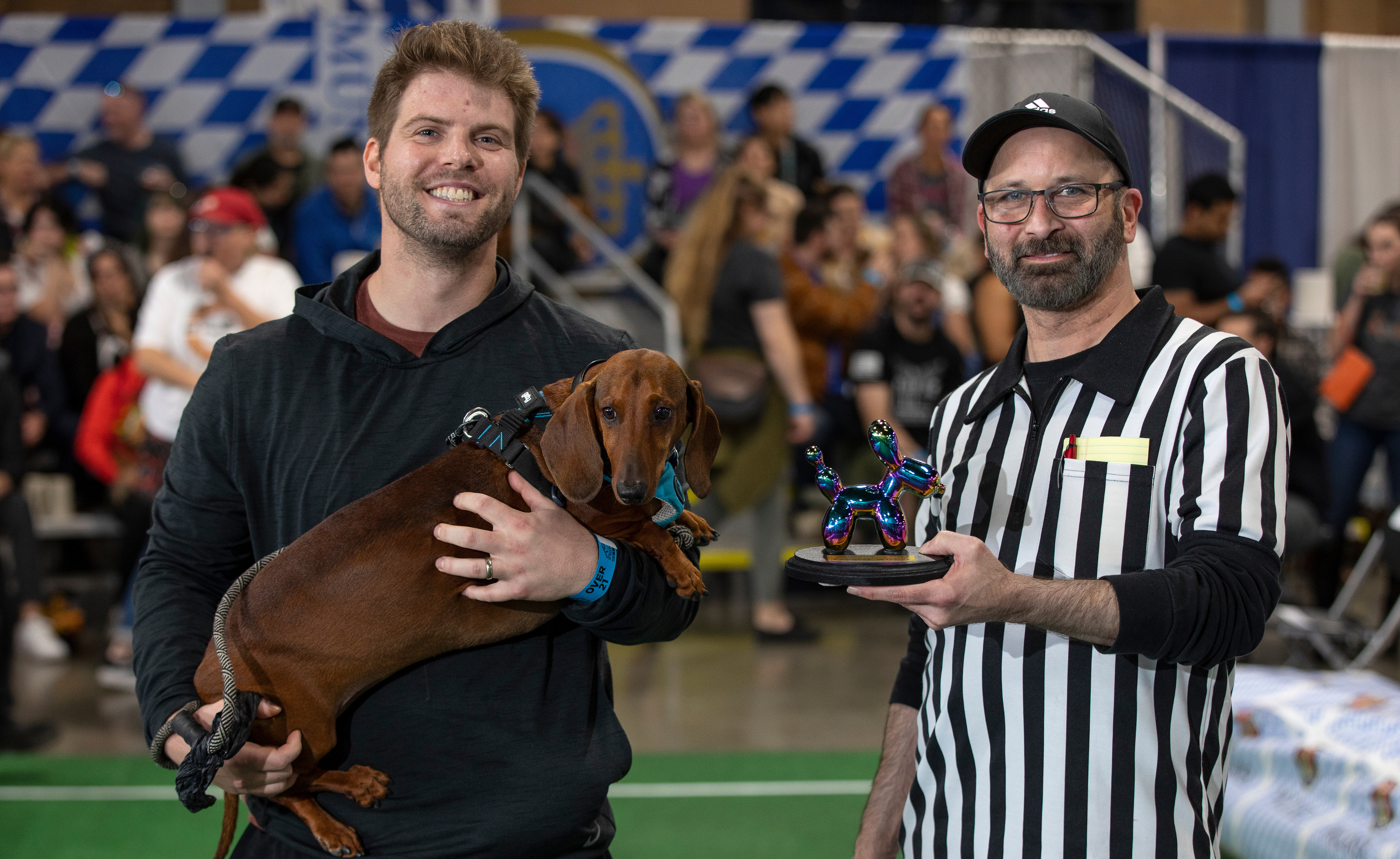 Wiener Dog Races