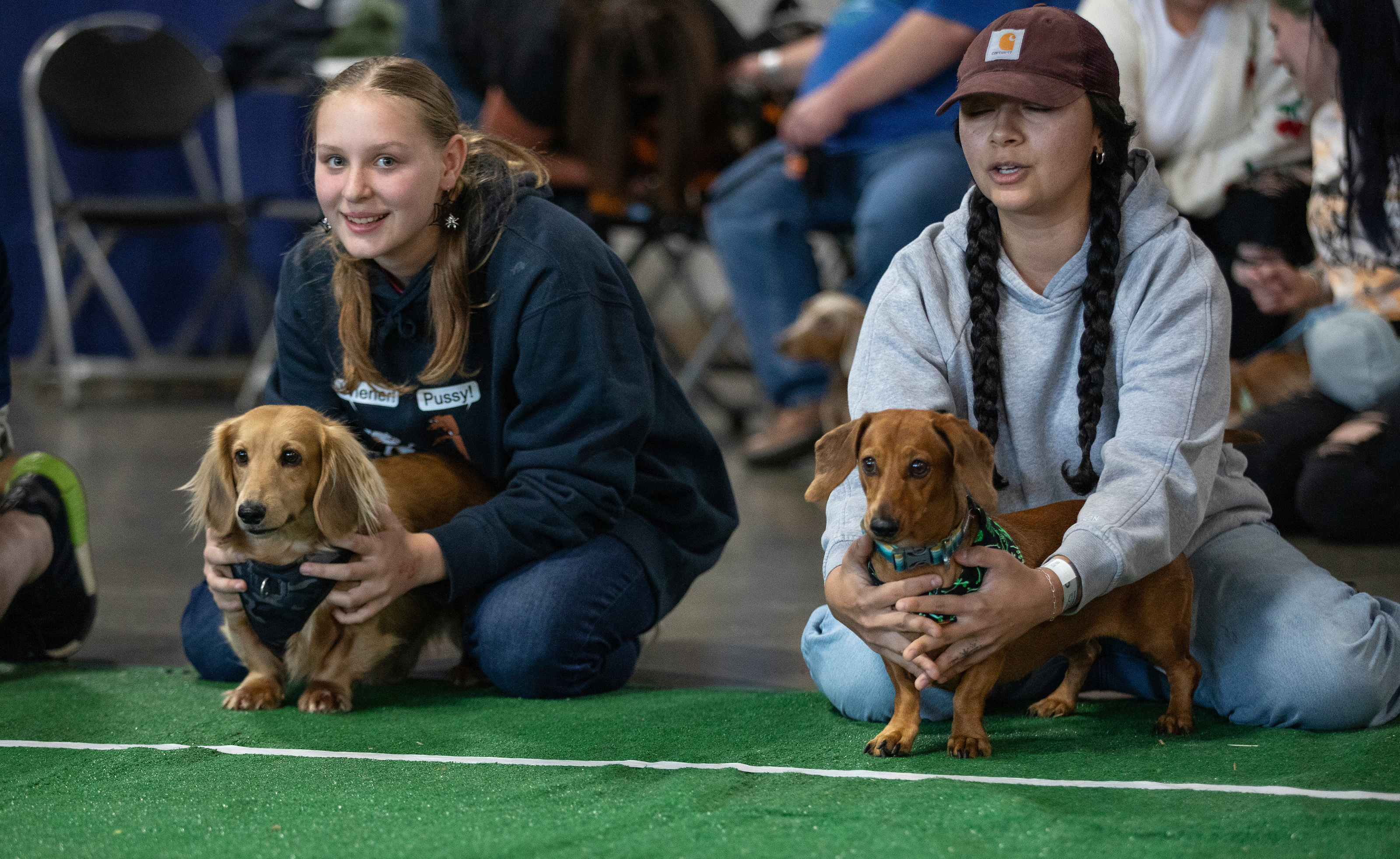 Wiener Dog Races