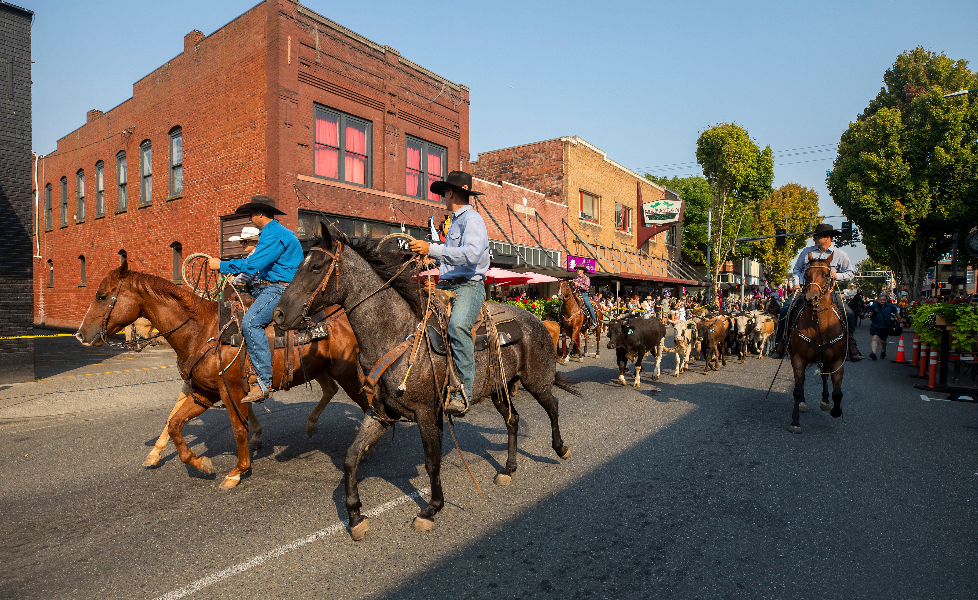  Kick Off Rodeo Weekend in True Western Style!