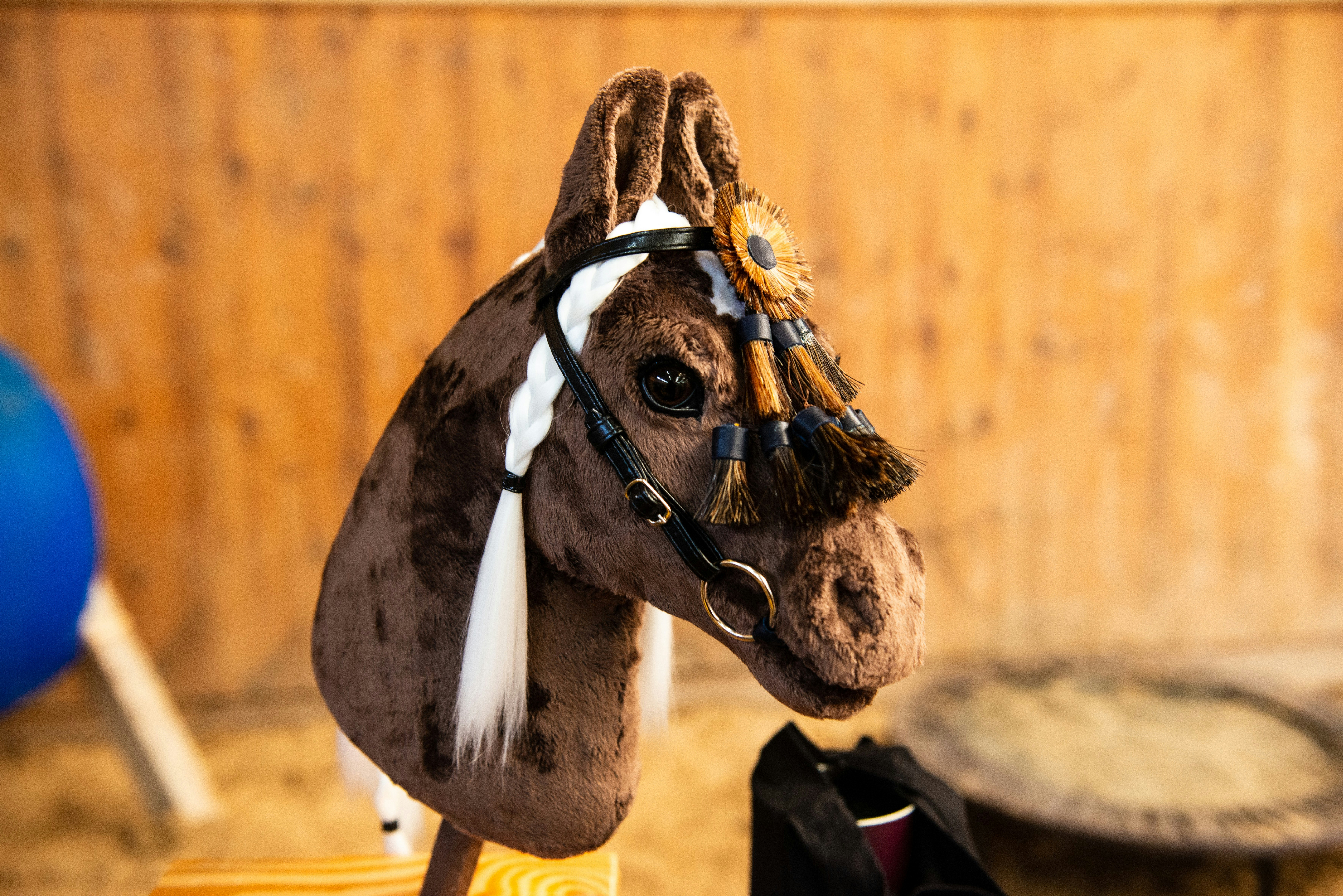 Hobby Horse Races