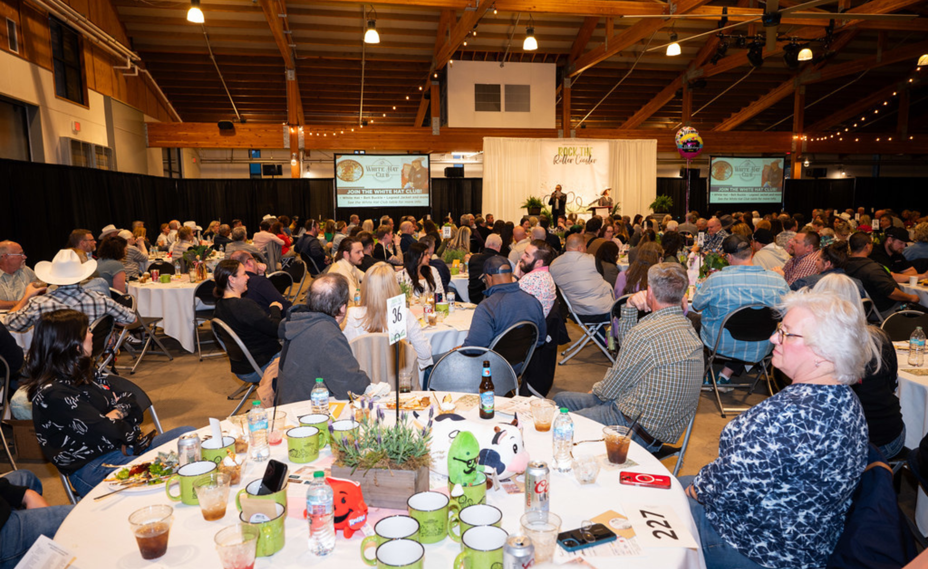 Rock the Roller Coaster