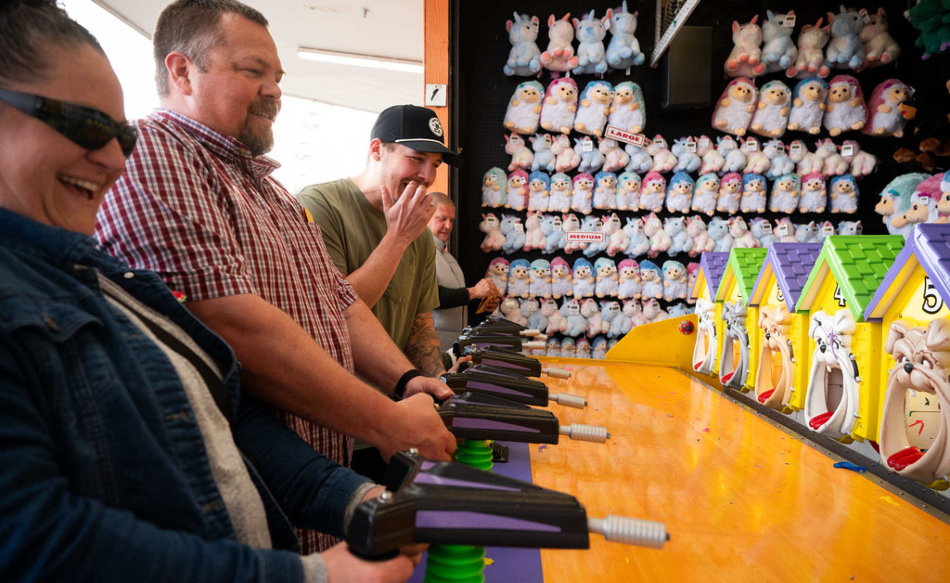 Rock the Roller Coaster