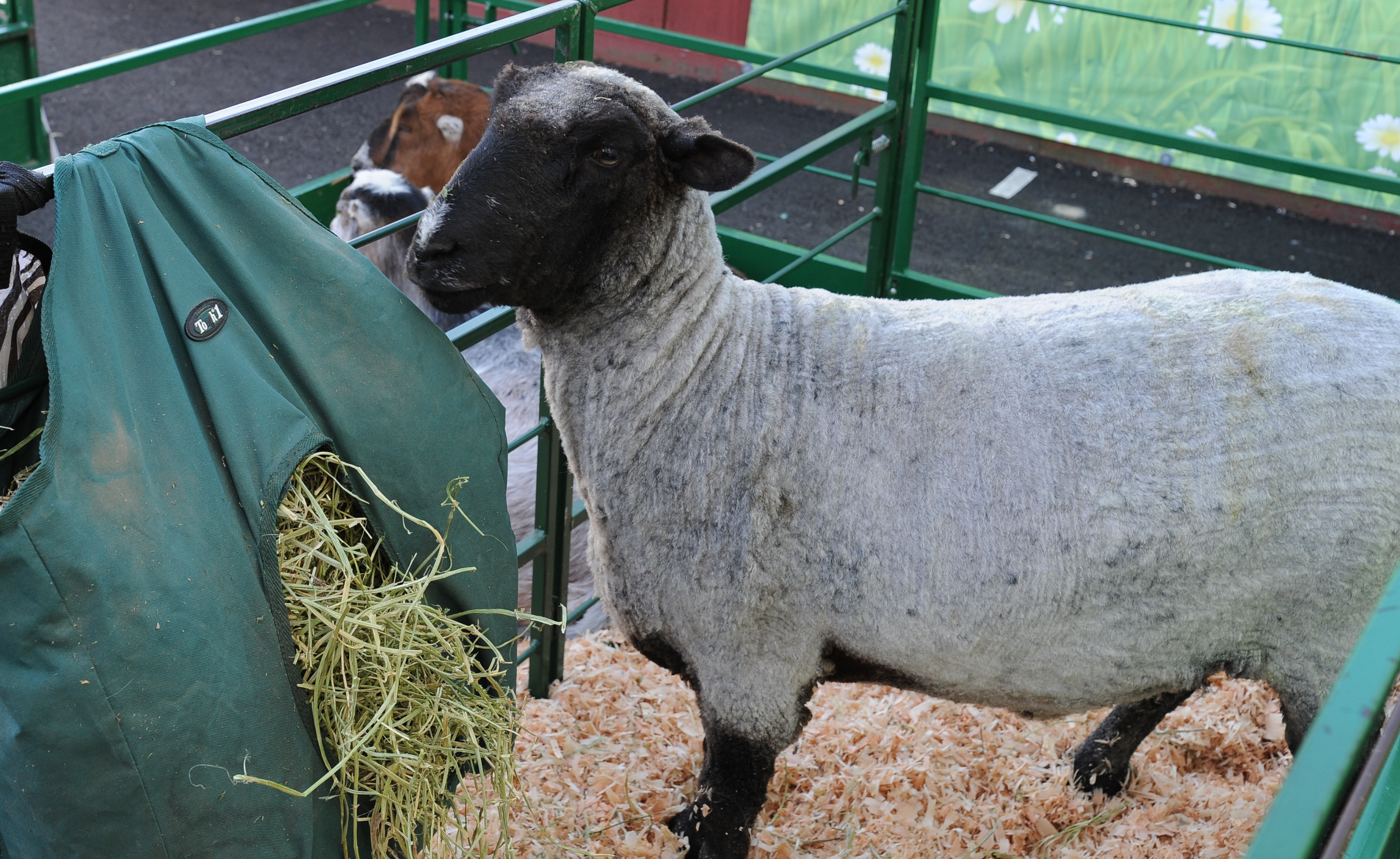 Bring The Fair To You!