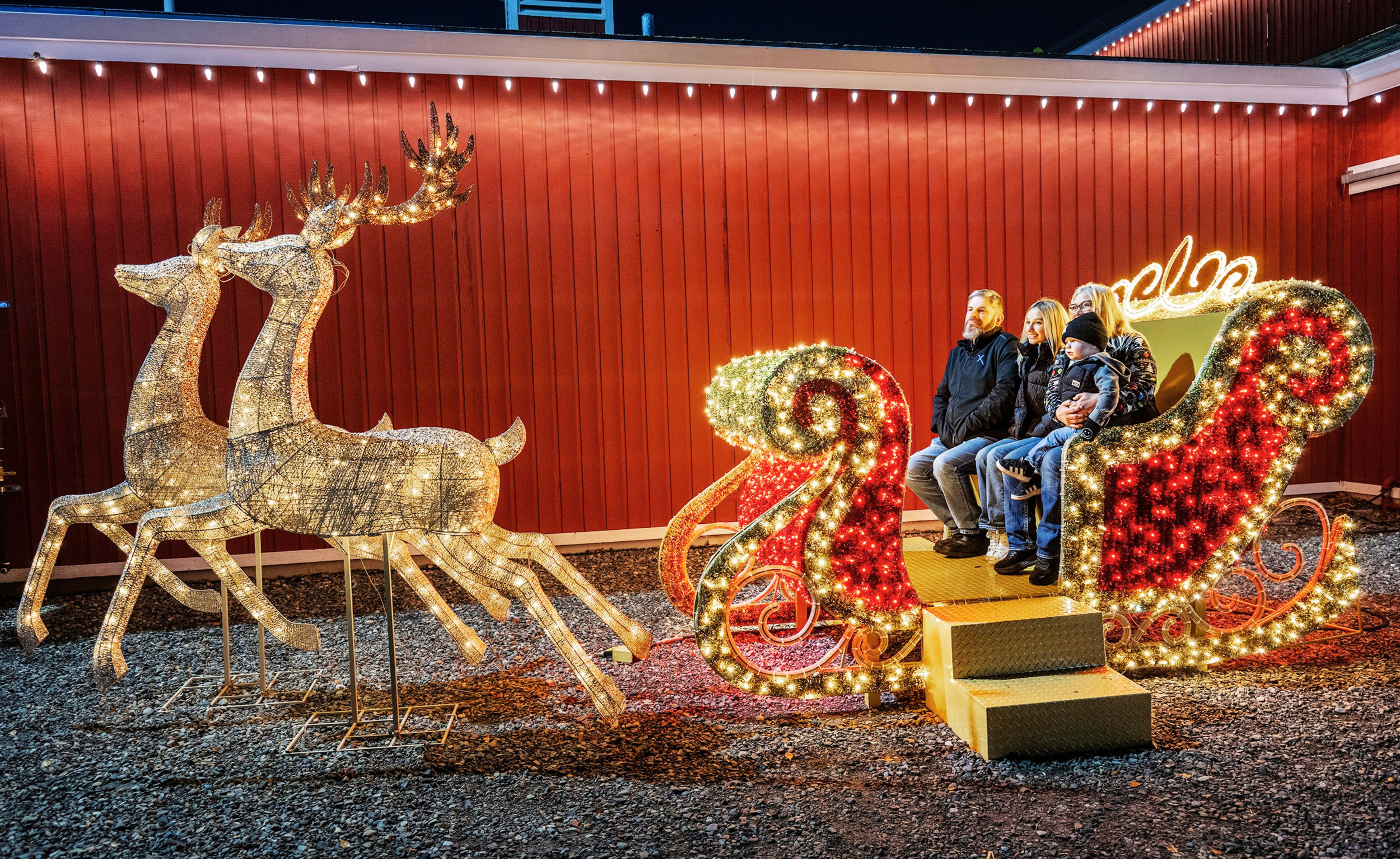 Light Up Sleigh