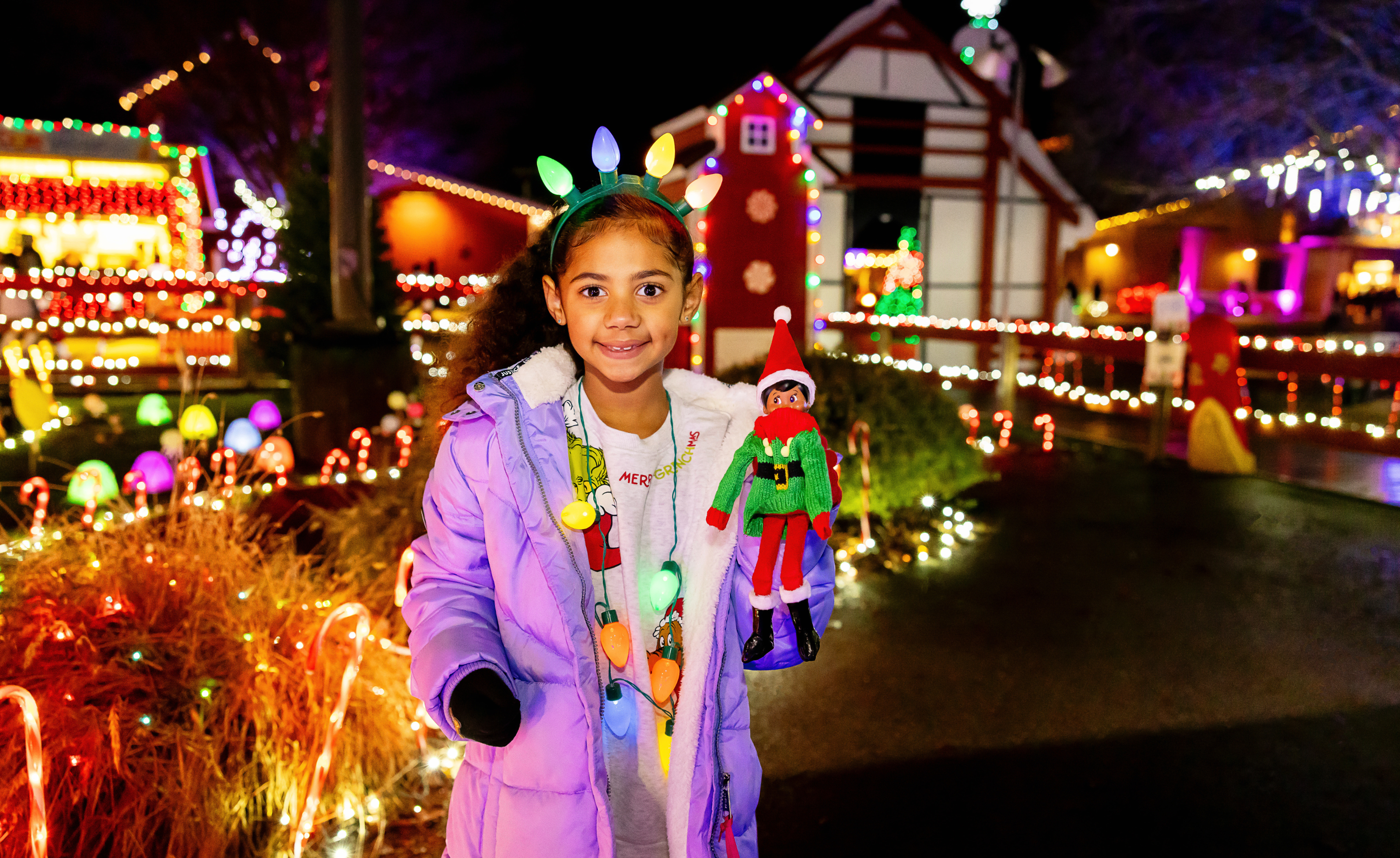 Bright Night - Sunday, December 20
