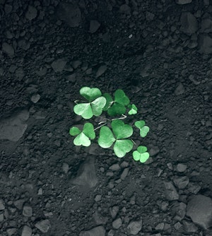 Recycling lithium-ion batteries