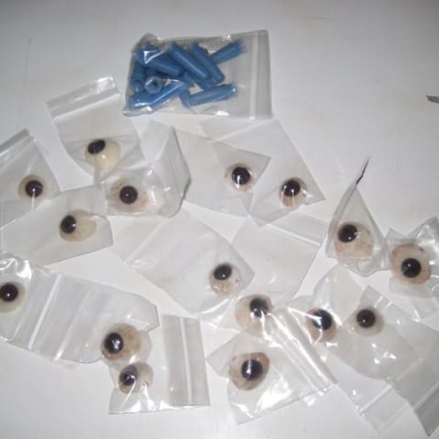 artificial eyes in bags