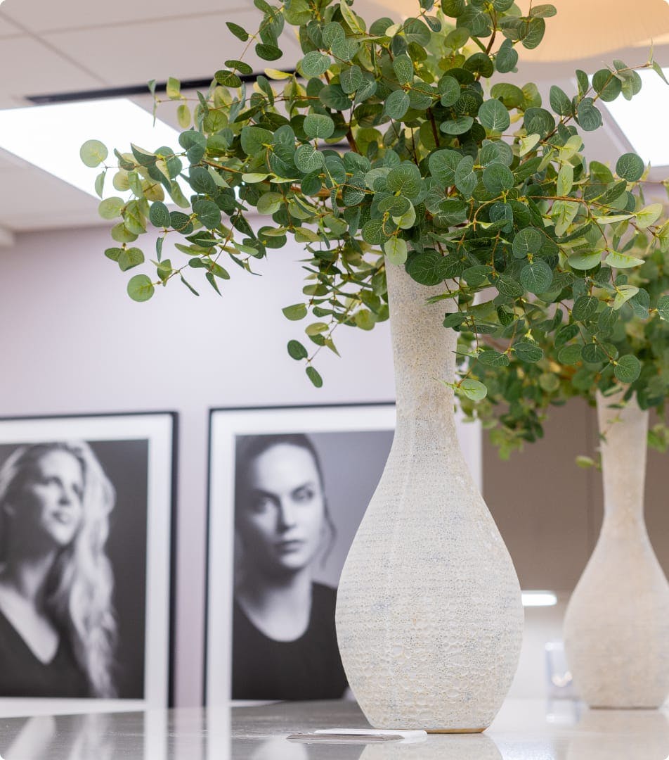 close up of plants in reception area