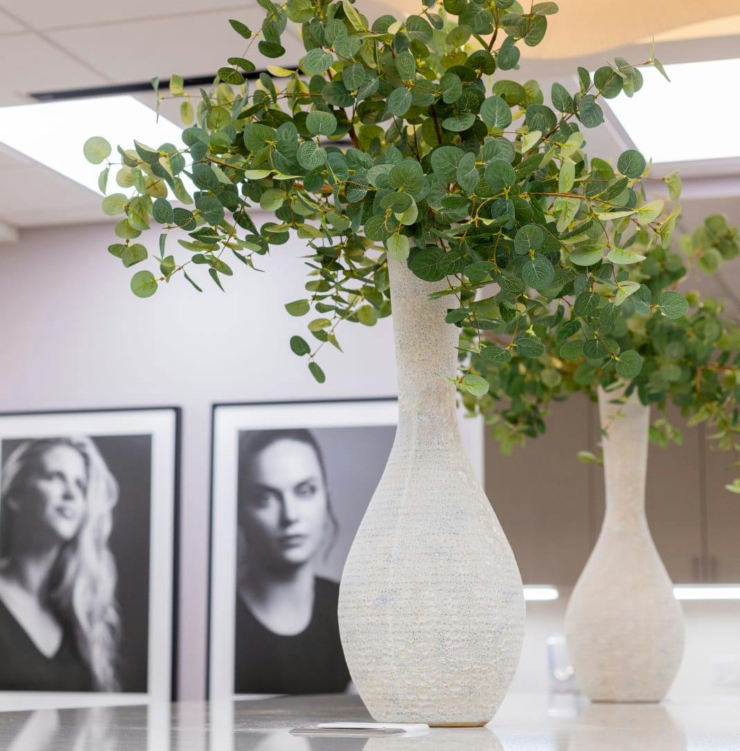 green plants in white vases