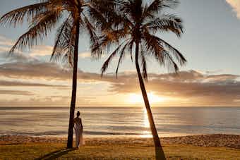 Morning paradise