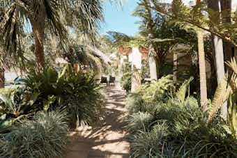 Follow the lush walkway