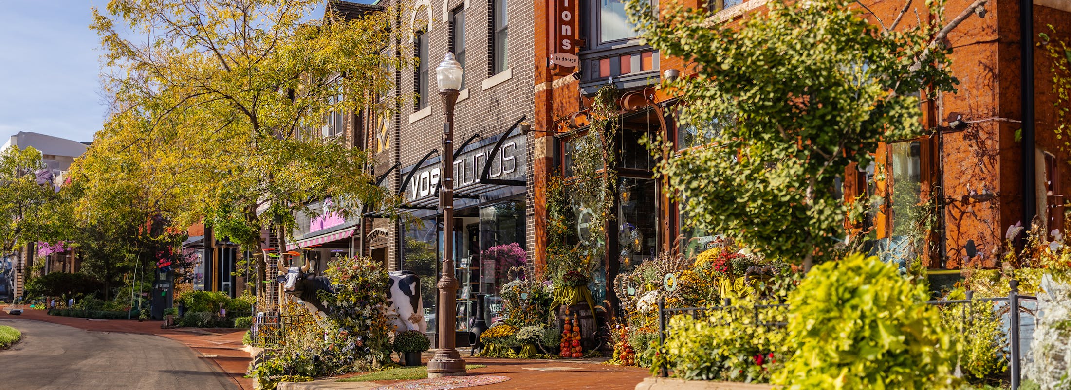 sunny city street