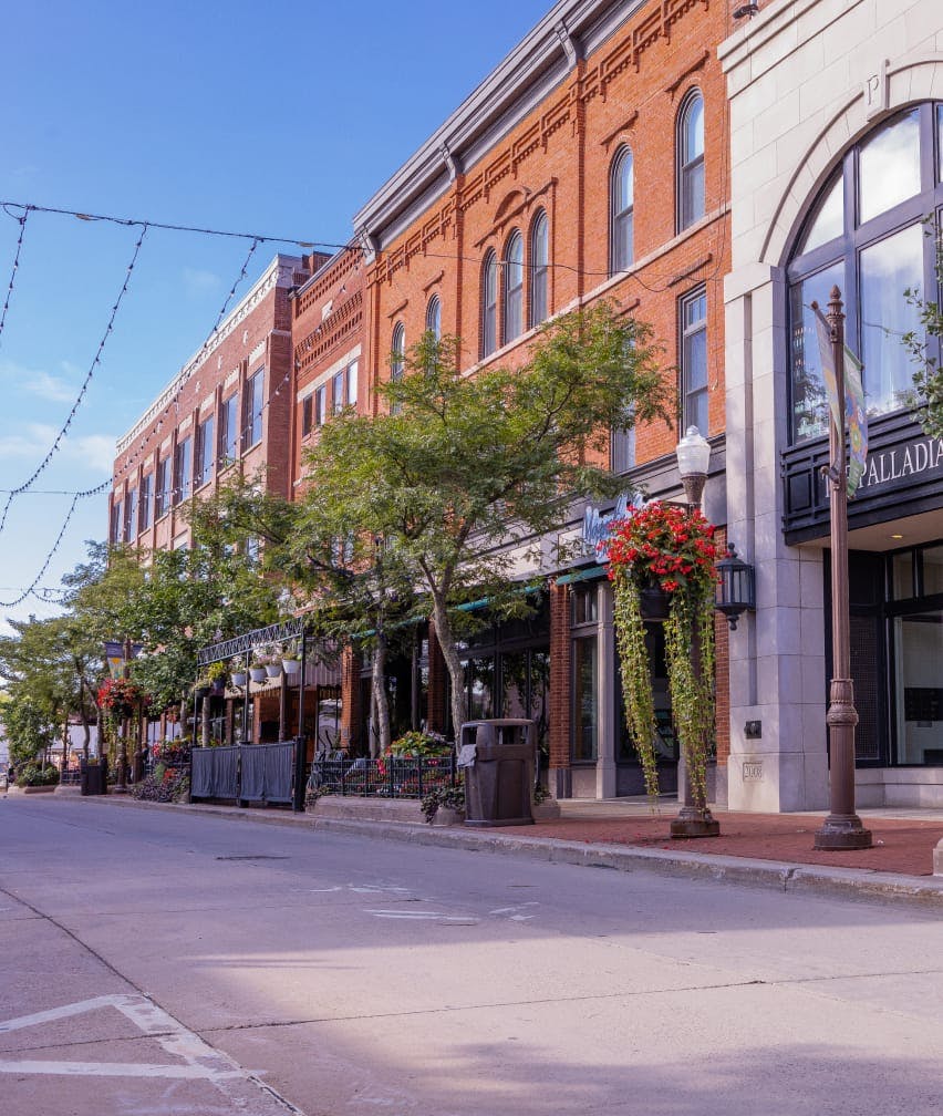 tree lined city street